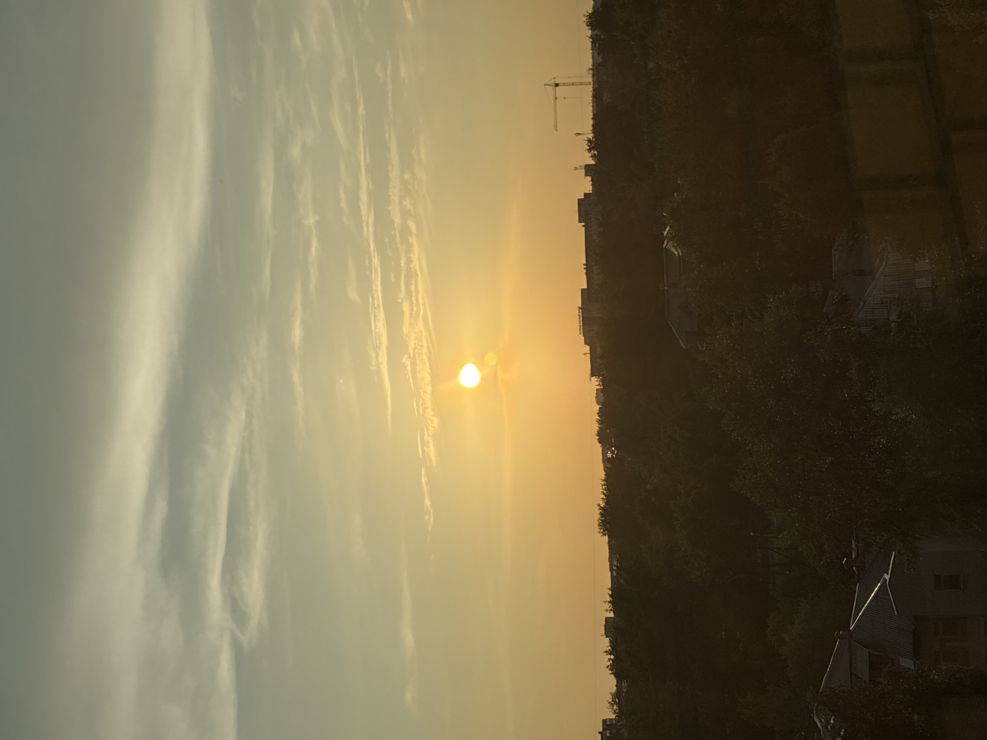 The image depicts an urban landscape at sunset, with the sun as a bright, radiant orb positioned in the upper center of the frame. The sky is a gradient of warm orange and yellow hues, with wispy clouds streaking across. Below the sky, a dark silhouette of trees forms a dense canopy. Peeking above the trees are the rooftops of buildings, and a construction crane is visible on the right side of the frame, hinting at ongoing development. The lower portion of the image shows the details of a few residential buildings, with dark roofs and windows. The scene suggests a view from a slightly elevated vantage point, overlooking a residential area on the outskirts of a city during the golden hour.