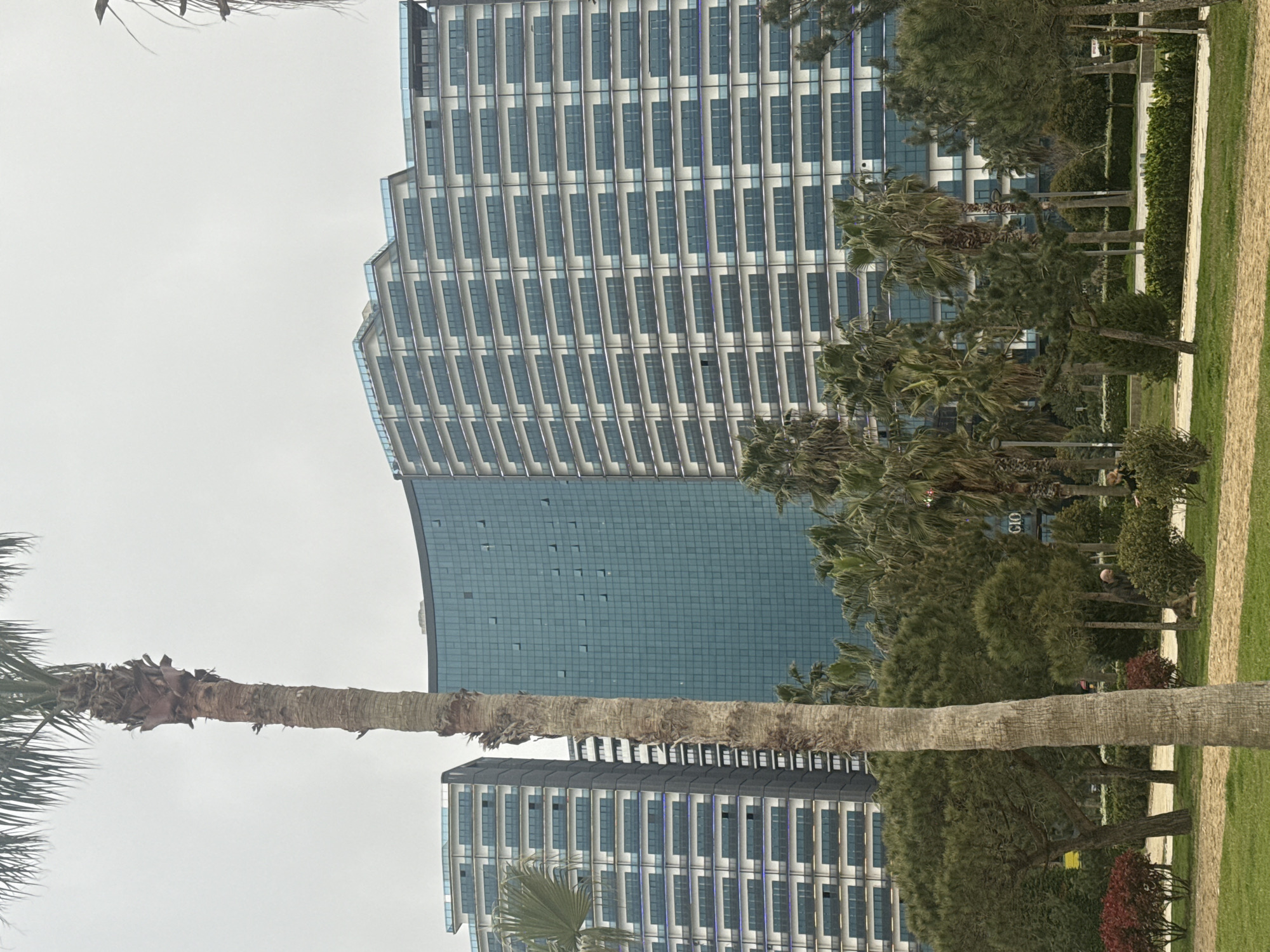 The image shows a tall building in Batumi, Georgia, with palm trees in the foreground. The building is modern with a curved facade and many windows. There is a park with green grass, trees, and a walkway in front of the building. The sky is overcast, and the light is soft.