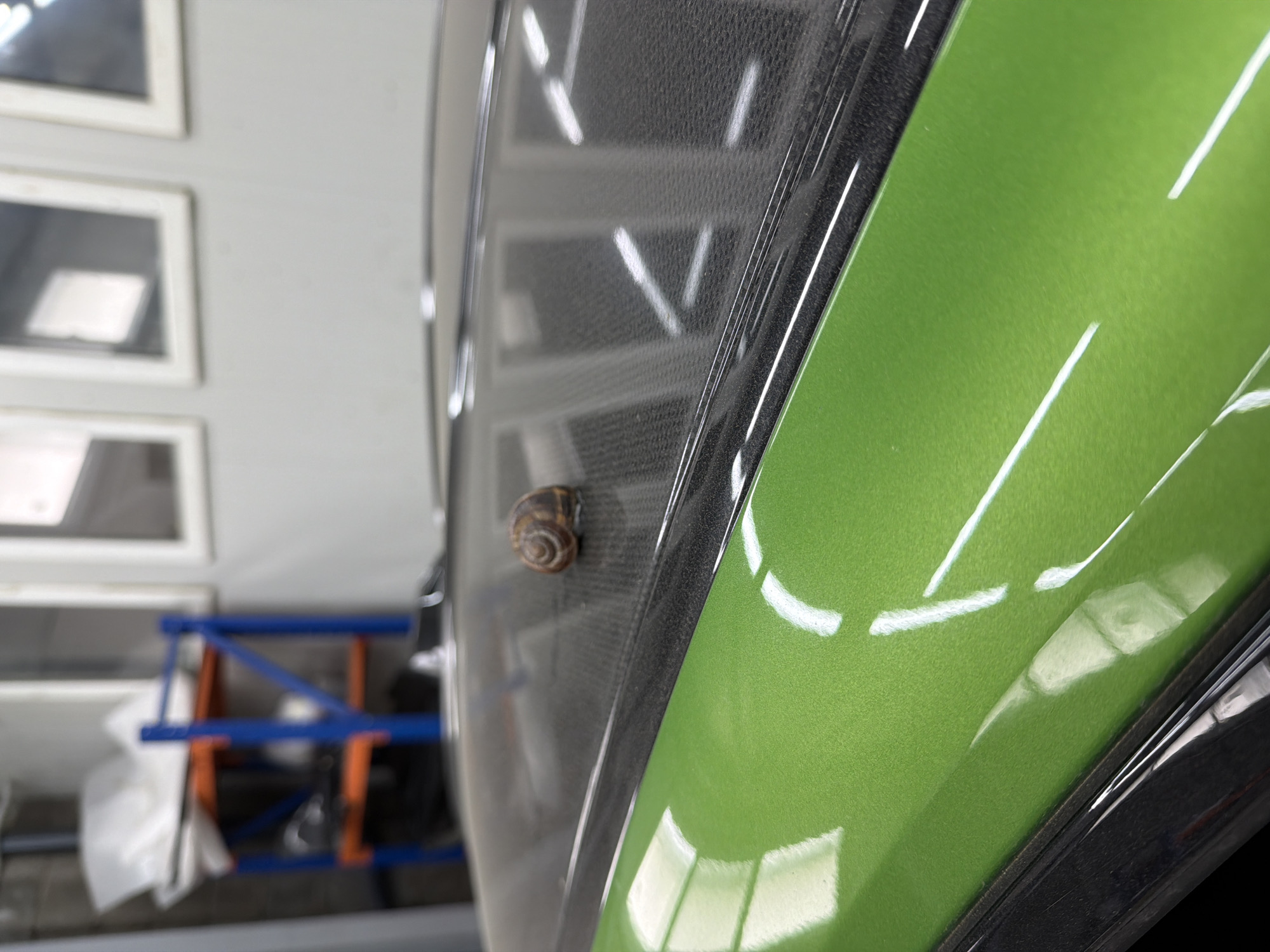 A close-up shot shows a snail clinging to the side of a vehicle with a two-tone paint job – a green section adjacent to a black, possibly carbon-fiber, panel. The glossy green paint reflects light in streaks. The setting appears to be an indoor garage or workshop, as evidenced by the lighting and the presence of equipment such as a blue and orange metal frame structure visible in the blurred background. Three white framed rectangular objects are hanging on the back wall. The image's focus is sharp on the snail and the vehicle's surface, while the background is out of focus.