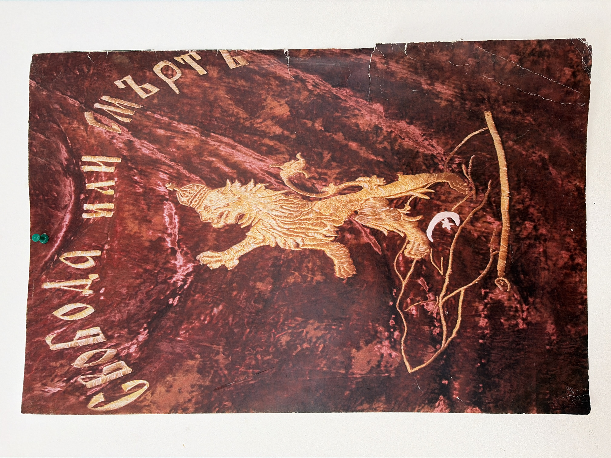 This media file displays a replica or print of a historical Bulgarian flag, set against a rich, mottled reddish-brown background that resembles aged velvet or a textured fabric. The central motif is a stylized golden lion, crowned and depicted mid-stride, facing towards the right. Its mane, tail, and body are intricately rendered, giving the impression of embroidery.
To the right of the lion, a white crescent moon and star symbol is visible, partially intertwined with and obscured by thin, golden, branch-like or root-like structures.
Along the left side of the flag, written vertically in golden Cyrillic script, is the text "СВОБОДА ИЛИ" (Svoboda Ili), which translates to "Freedom Or". Along the top edge, also in golden Cyrillic, is "СМЪРТЪ" (Smurt), meaning "Death". Combined, the motto reads "СВОБОДА ИЛИ СМЪРТЪ" ("Freedom Or Death"), a significant phrase associated with the Bulgarian National Revival and the revolutionary struggles for independence from the Ottoman Empire.
The image itself, likely a print, shows signs of wear, including creased and torn edges, and visible surface scratches, contributing to an aged aesthetic. A green thumbtack is present in the bottom-left corner, indicating the item is pinned to a surface. The imagery and text strongly evoke themes of Bulgarian national identity and historical struggle for liberation.