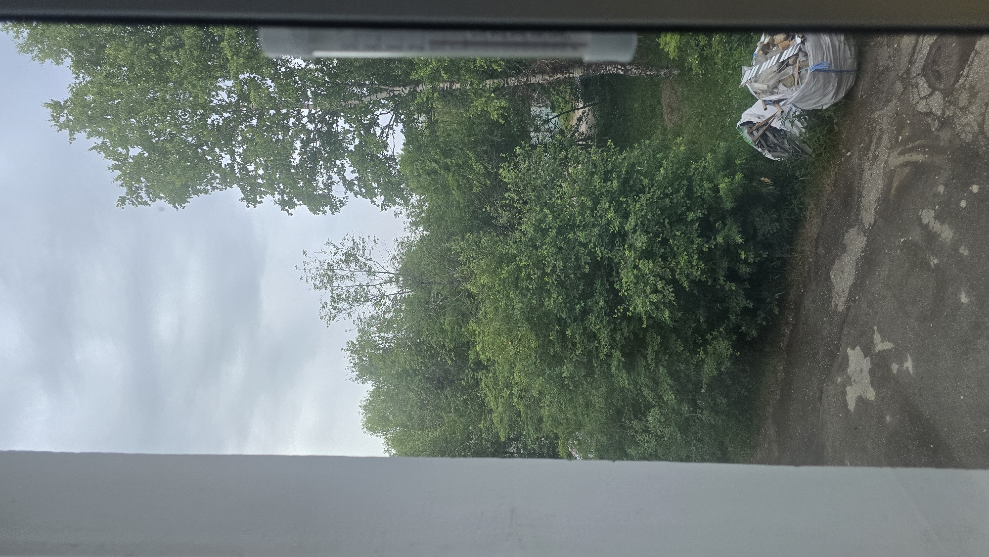 A view from a window shows a grey, overcast sky above a densely wooded area. The trees are predominantly green and lush, with a few taller, thinner trees interspersed. A narrow, paved road runs along the bottom of the frame, with patches of dirt and debris. To the right of the road, near the edge of the trees, are two large white bags filled with construction debris and trash. A white wall is visible on the left side of the frame, and the edge of a window frame is on the right. The scene appears to be an outdoor area in Ukhta, Russia.