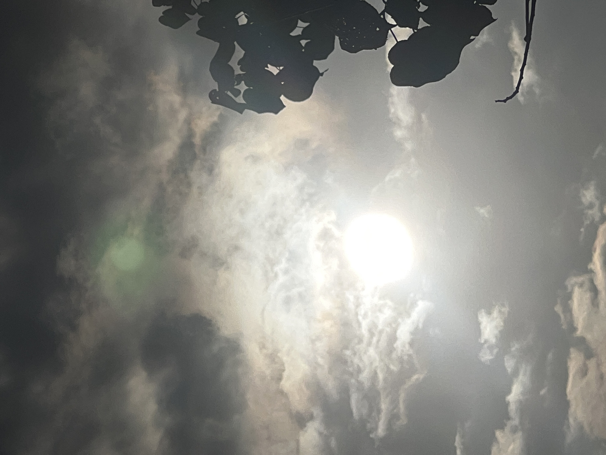 The image captures a cloudy sky with the sun shining brightly through the clouds. A silhouette of tree branches and leaves is visible on the right side of the frame, partially obscuring the sky. There is a greenish hue in the upper portion of the sky, possibly due to light refraction through the clouds. The overall lighting suggests it is daytime, with the sun being the primary light source. The location in Kuta, Indonesia, is not directly depicted by any specific landmarks or recognizable features within the image itself.