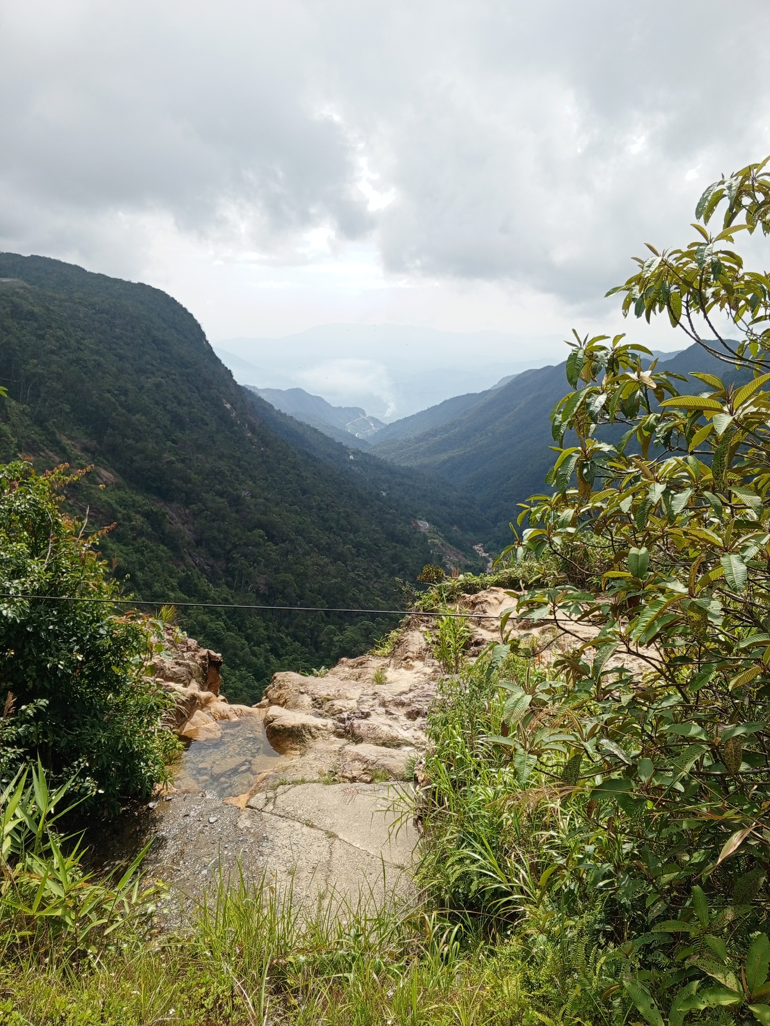The image captures a vast, lush green valley with a winding river visible in the distance. The foreground features rocky terrain with patches of grass and a small pool of water, possibly the source of a waterfall. Dense foliage, including trees with large leaves, frames the view from the right side. Overcast, cloudy skies dominate the upper portion of the image, casting a muted light over the mountainous landscape. There are no people or animals visible. The scene appears to be a natural landscape in a mountainous region. Based on the available information, the location is not within the city of Nam Khanh Vinh, Vietnam.