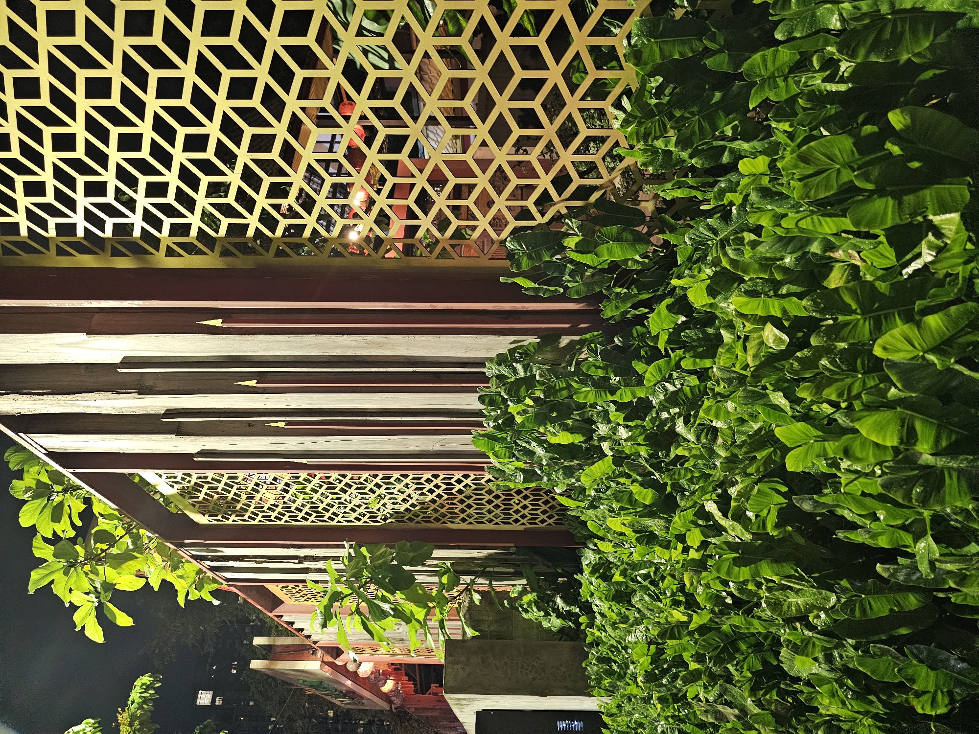 This image captures a scene at night, likely in Bangkok, Thailand, focusing on an outdoor architectural element. A dense foreground of lush green foliage, possibly philodendrons or similar tropical plants, dominates the lower half of the frame. The leaves are large, heart-shaped, and show some water droplets, suggesting recent rain or watering.
Behind the plants, a decorative screen or fence is visible. This screen is made of golden-colored metal with an intricate geometric pattern resembling interlocking cubes or Escher-like tessellations. It is set against a backdrop of vertical wooden or metal posts, painted in alternating shades of dark red and light wood, creating a striped effect. Some of these posts have pointed tops.
Behind the fence, hints of buildings and artificial lighting can be seen. Red lanterns are suspended from a structure to the left, adding a cultural touch often found in Asian cities. The overall lighting suggests it is nighttime, with artificial lights illuminating the plants and the decorative screen, creating shadows and highlights. The background fades into darkness, with faint outlines of buildings visible in the distance, typical of an urban environment. The scene conveys a sense of modern design blended with natural elements and cultural influences.