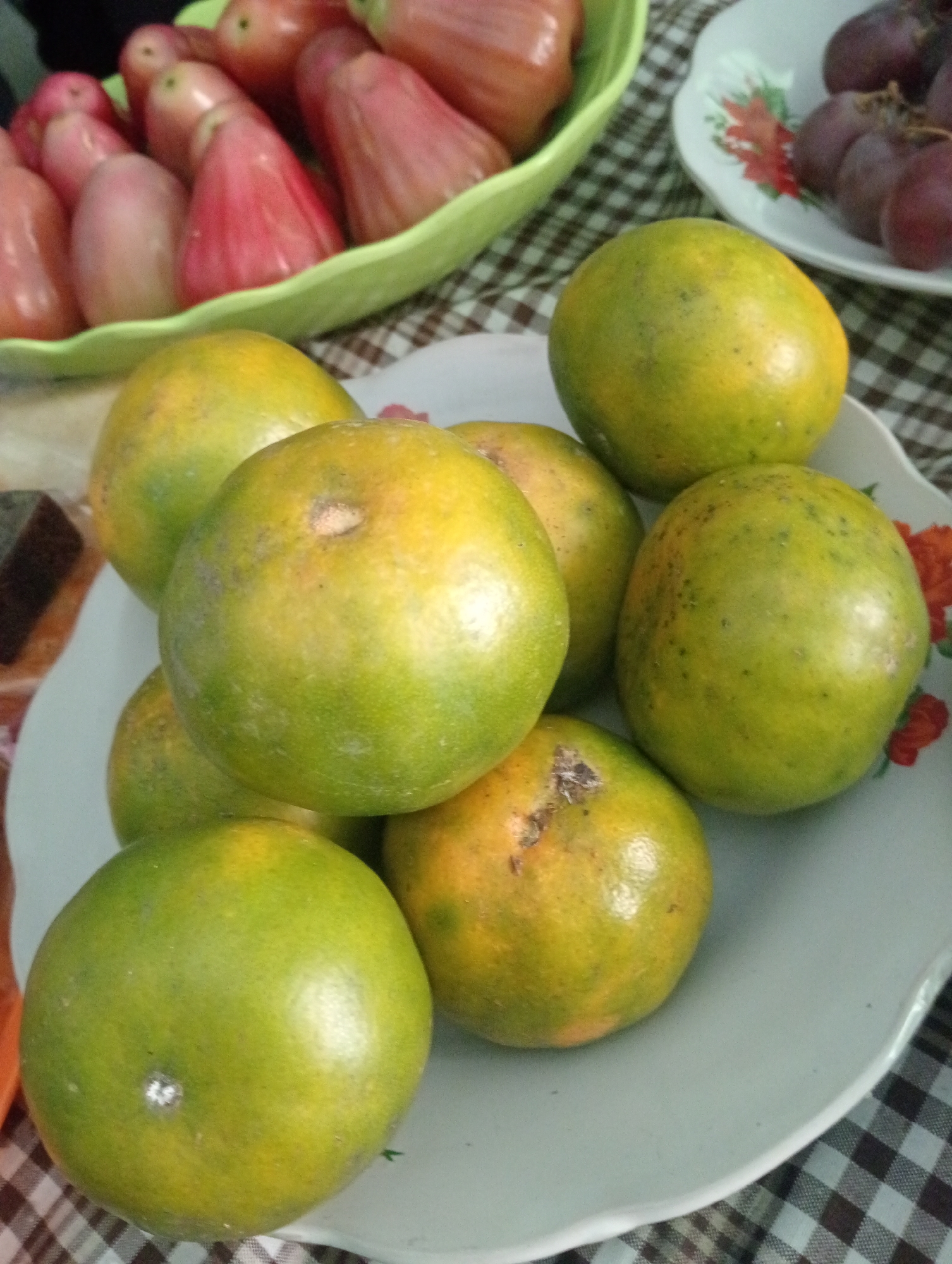 A close-up, eye-level, medium shot captures a collection of oranges and rose apples arranged on a checkered tablecloth. The scene appears to be an indoor setting, possibly a home or market, in Sukorejo, Indonesia.
Dominating the foreground is a light blue, slightly curved plate filled with several whole oranges. The oranges are predominantly green with hints of yellow, indicating varying degrees of ripeness. Their surfaces show a textured peel, and some exhibit minor blemishes or imperfections. One orange in the bottom left corner is particularly prominent, with a bright green hue and a small white mark on its skin.
Behind the plate of oranges, a green plastic bowl holds a generous amount of rose apples. These fruits are elongated and conical, with smooth, glossy skin in shades of pink and red. The rose apples are packed closely together, obscuring some of their shapes.
In the upper right corner of the image, a small white plate contains a cluster of deep purple grapes. A few of these grapes are visible, their round shapes and rich color contrasting with the oranges and rose apples.
A dark, rectangular object, possibly a piece of chocolate or a small block of food, rests on the tablecloth to the left of the plate of oranges.
The background is a brown and white checkered tablecloth, providing a textured surface for the fruits and bowls. The overall lighting is natural and soft, suggesting it might be daytime. There are no visible people or animals in the frame. The focus is entirely on the arrangement and presentation of the fruits.