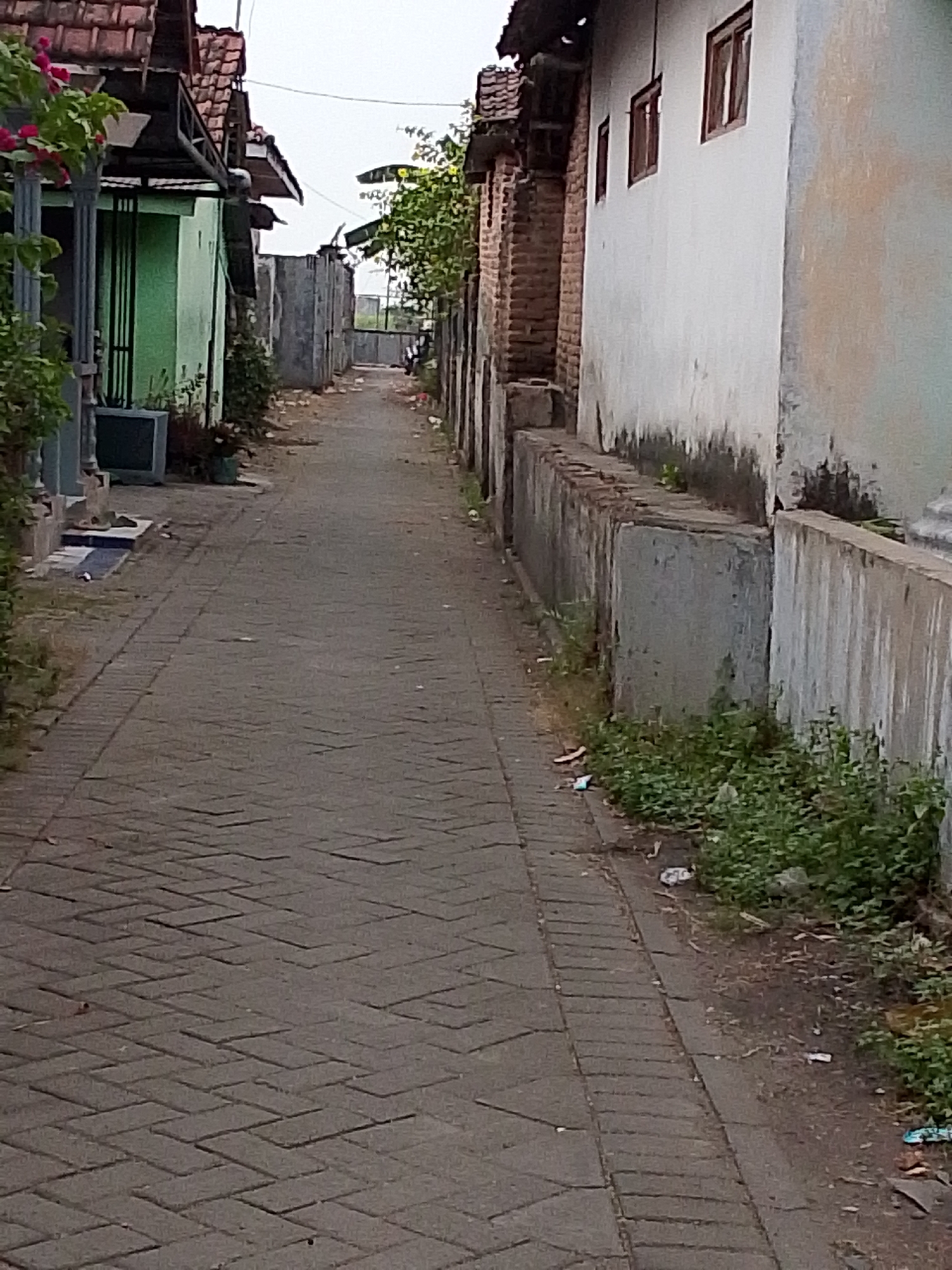 The image depicts a narrow, paved alleyway in Bulurejo, Indonesia. The alley is bordered by buildings on both sides. On the left, a building with a green facade and a red tiled roof is visible, with plants and a gray outdoor unit in front. Further down the alley, chain-link fences and other structures can be seen. On the right side of the alley, a white building with multiple windows is prominent, constructed adjacent to a brick wall. The ground of the alley is paved with interlocking bricks. The alley floor and the ground beside the buildings show scattered litter, including plastic bags and wrappers, and patches of overgrown green vegetation. The sky above is overcast.