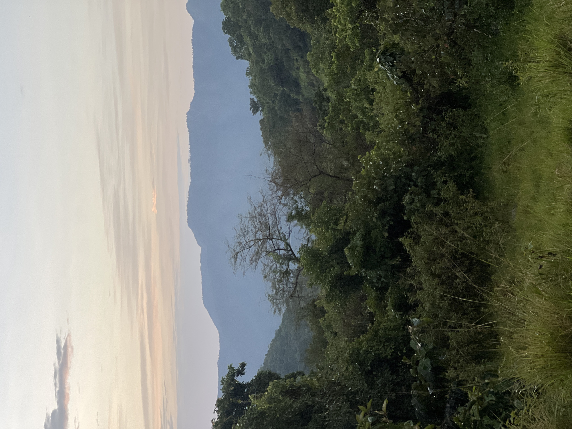 The image depicts a serene natural landscape at dusk in Wuro Gole, Nigeria. The scene is dominated by lush green trees and vegetation on the right side, with a path of tall, dry grass bordering the edge. In the background, hazy, blue-hued mountains rise majestically, their forms softened by the dimming light.
The sky on the left is a canvas of soft, pastel colors, transitioning from a pale cream near the horizon to a gentle blue overhead. Wispy clouds are scattered across the sky, tinged with the warm hues of the setting sun. One can discern a faint, almost ethereal glow on the horizon, suggesting the last rays of daylight.
The overall mood is tranquil and peaceful, inviting a sense of calm contemplation. The absence of people or man-made objects emphasizes the raw beauty of nature. The time of day is clearly evening, as indicated by the soft light and muted colors. The weather appears to be clear, with the haze in the distance likely due to atmospheric conditions rather than clouds. The vegetation suggests a tropical or subtropical environment. No text is visible in the image.
