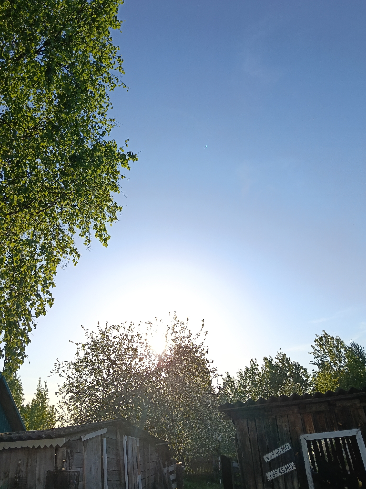 The image shows a sunny outdoor scene with trees and a blue sky. In the lower part of the image, there is a weathered wooden shed or structure with a corrugated roof. Part of a license plate or sign is visible on the shed, with the inscription "36945 MO" repeated. The sun is shining through a tree in the center, creating a bright glare. The surrounding vegetation includes deciduous trees with green leaves. The scene appears to be located in Красный Маяк, Russia.