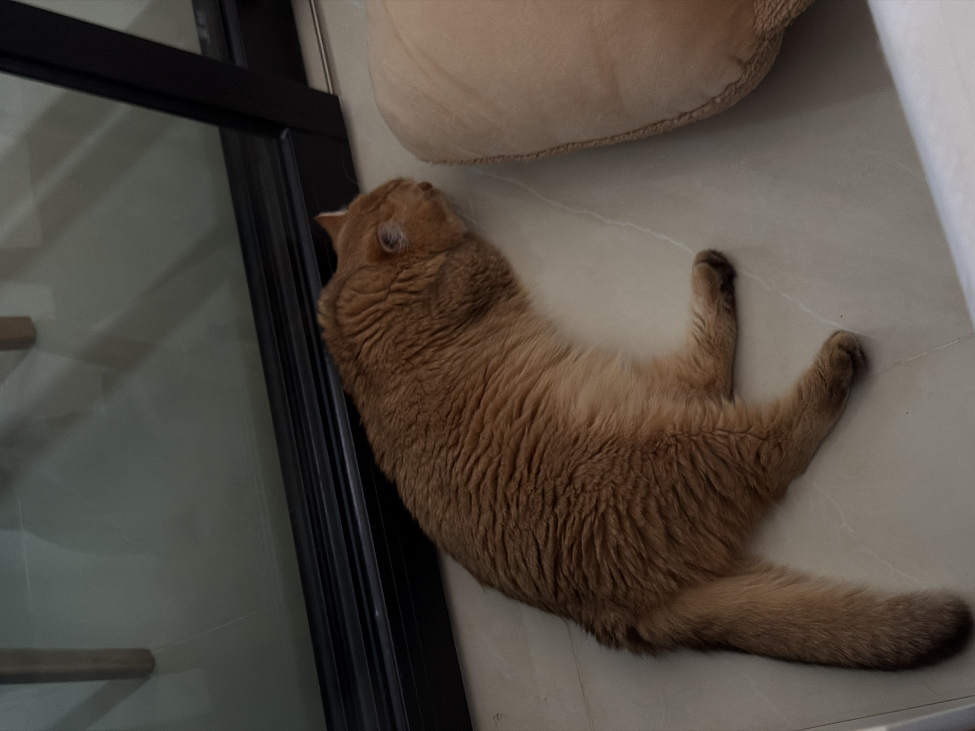 An orange tabby cat is sleeping on a light-colored tiled floor. The cat is curled up, with its head tucked into its body and its tail extended. To the right of the cat is a plush, light brown pet bed. Behind the cat is a large glass window with a dark frame, reflecting some of the interior. The scene appears to be indoors, likely in a residential setting. There are no visible signs of the city of Đà Nẵng, Vietnam.