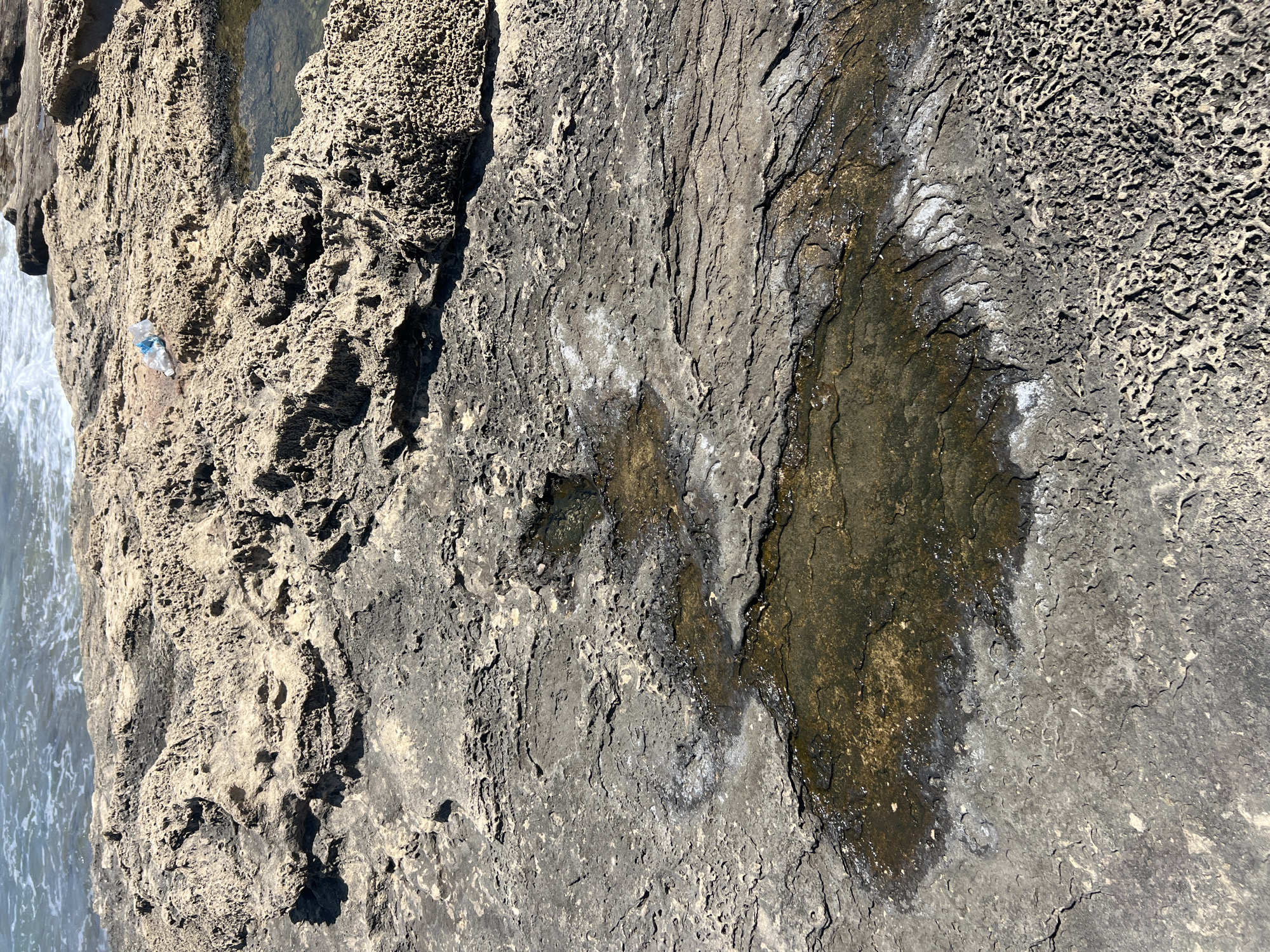 An eye-level, close-up shot depicts a rocky shoreline near the city of Hof HaCarmel Regional Council, Israel. The foreground is dominated by dark, textured rock formations, some of which contain shallow pools of murky water. White salt deposits are visible along the edges of these pools. In the background, lighter-colored, porous rock formations extend towards the sea, where gentle waves are breaking. A discarded plastic bottle with a blue cap is visible on the lighter rocks in the upper right quadrant of the image. The overall impression is one of a natural coastal environment with evidence of human presence.