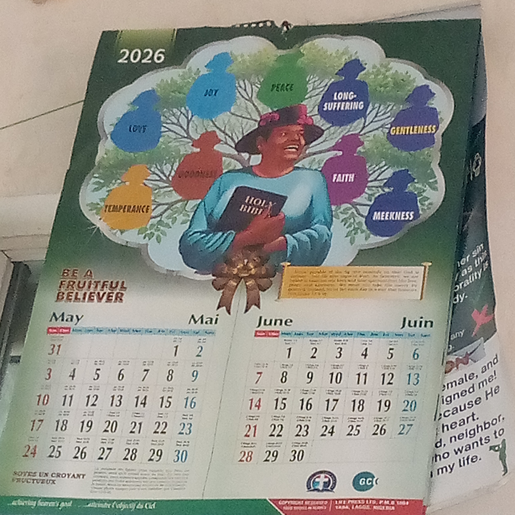 The image depicts a calendar for the year 2026, likely originating from Ogidi, Nigeria, based on the publisher information at the bottom. The calendar features a central illustration of a Black woman wearing a hat and holding a "Holy Bible." Surrounding her are fruit-like shapes with labels such as "Love," "Joy," "Peace," "Long-Suffering," "Gentleness," "Faith," "Meekness," and "Temperance." The text "Be A Fruitful Believer" is prominently displayed. Below the illustration, the months of May and June are presented with calendar dates. In French, "SOTES UN CROYANT VRUCTUEUX." The text "COPYRIGHT RESERVED. LIFE PRESS LTD, P.M.B. 1051 YABA, LAGOS, NIGERIA." is also visible. A torn piece of paper with text fragments is partially visible on the right side of the calendar.
