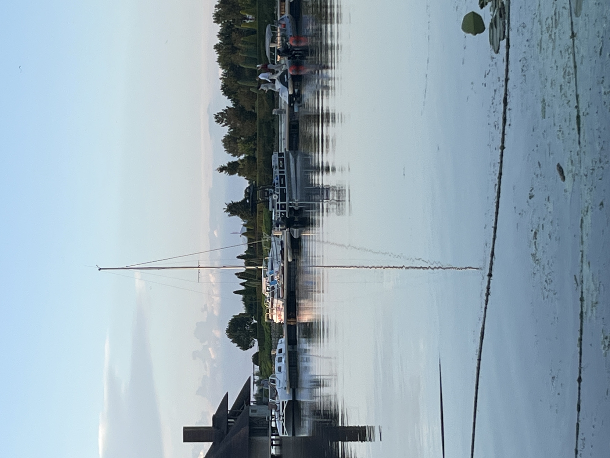 In Dnipro, Ukraine, a calm body of water is reflected in the foreground, with what appears to be a rope stretching across the lower portion of the frame. In the mid-ground, several boats are docked along a pier. These include a white catamaran-style boat, a sailboat with its mast extended, a dark pontoon boat, and two smaller open motorboats. A few individuals are visible on the pier, with two standing near the pontoon boat and one near the far motorboat. Behind the boats and pier, a dense line of trees forms the backdrop. To the left, a building with a distinctive thatched roof and a prominent chimney is situated on the water's edge. The sky above is a clear blue with scattered white clouds.