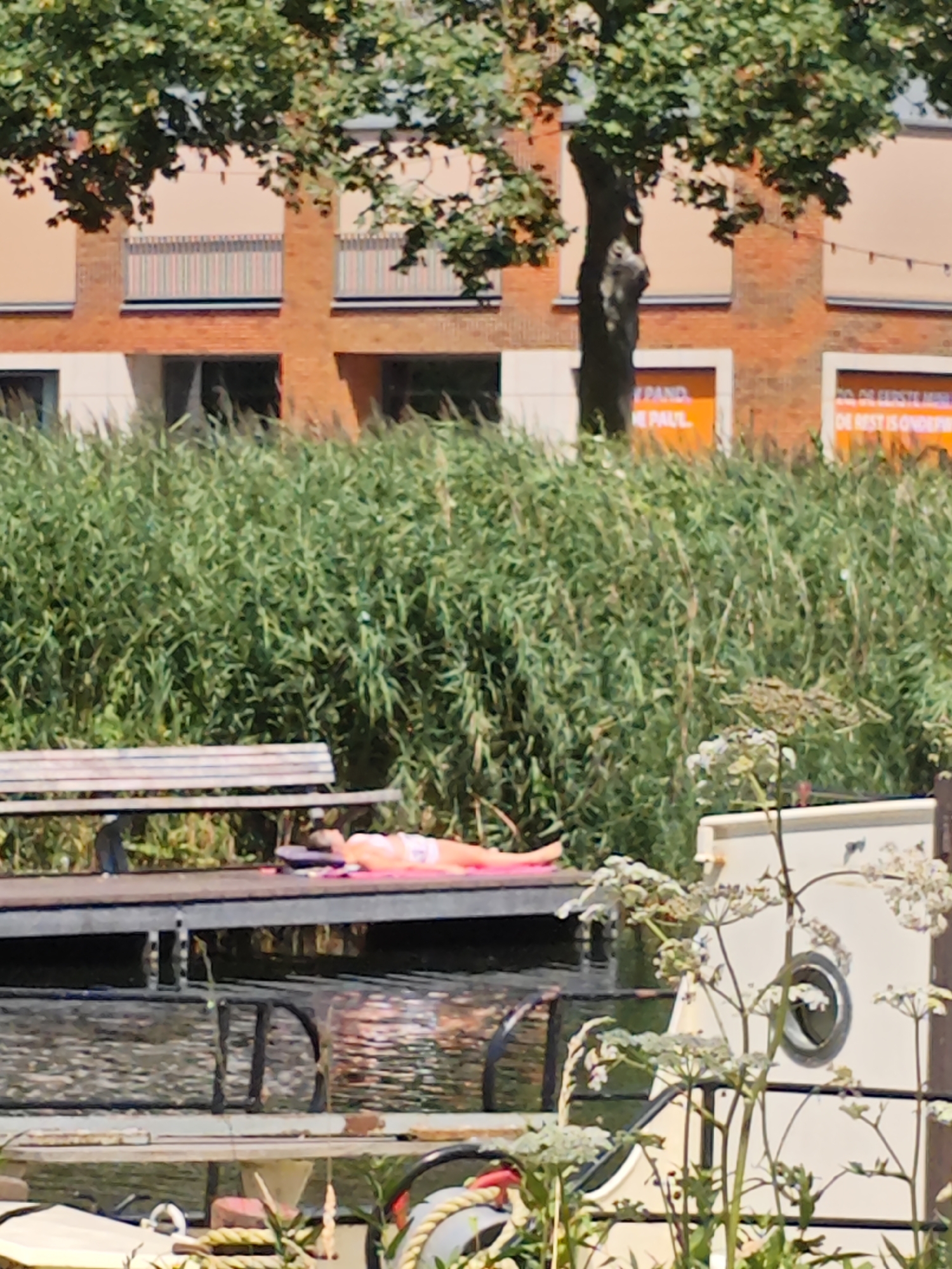 A person in an orange swimsuit lies on a wooden dock next to a bench. The dock is in front of a body of water with ripples and reflections. Behind the dock is a dense wall of green reeds, and beyond that, a brick building with orange panels. Trees with green foliage are visible in the upper part of the image. The scene appears to be outdoors, possibly in a park or recreational area. The image is taken from a slight distance, and some details are not perfectly clear due to the resolution and lighting.