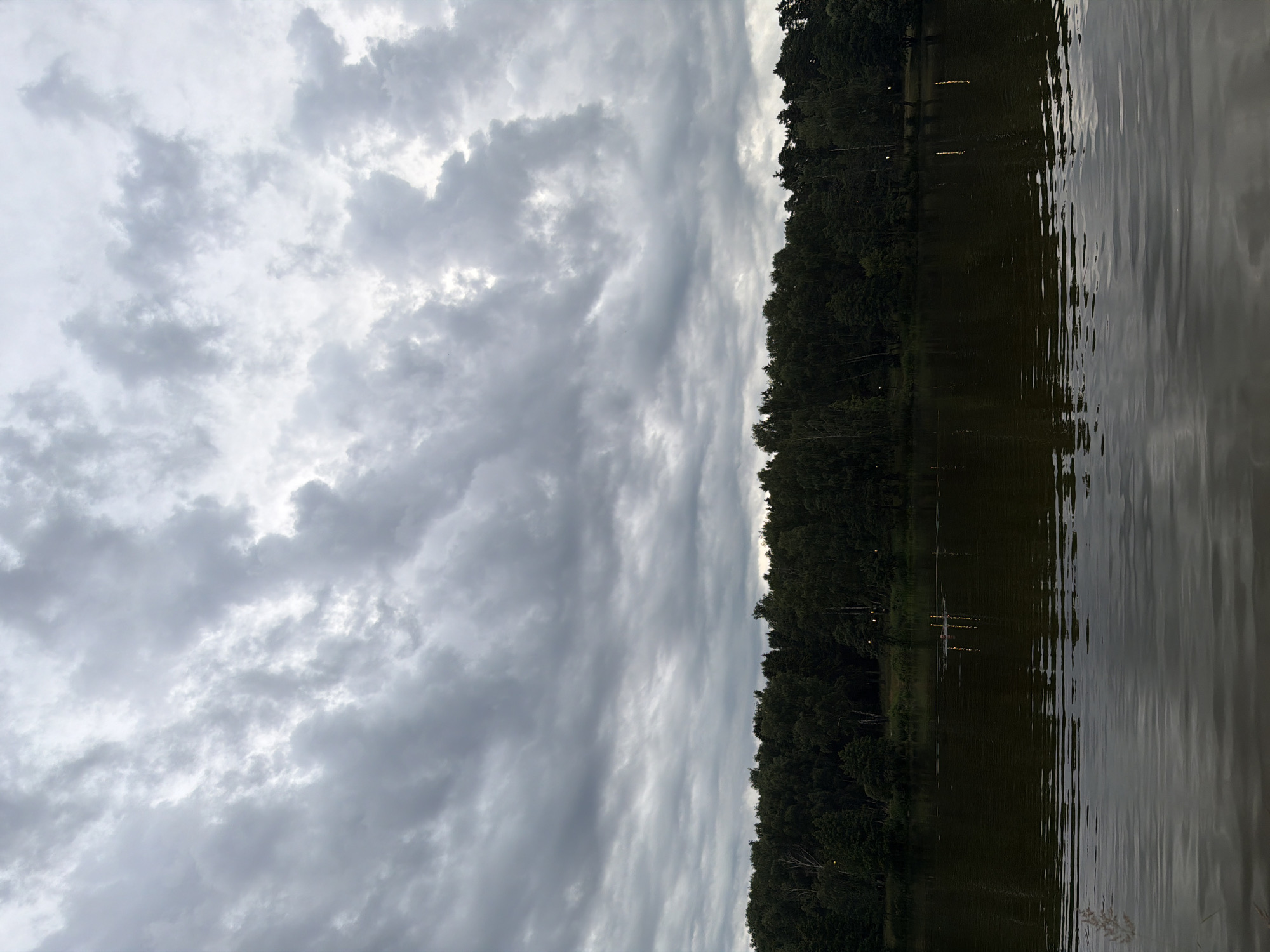 A wide-angle, vertical, outdoor, medium shot captures a dark, overcast sky filled with heavy, gray clouds. Below the sky, a dense, dark green forest lines the horizon, its trees appearing as a solid wall of foliage. Several faint, yellow lights are visible scattered throughout the forest edge, hinting at the presence of streetlights or other artificial illumination. The forest is situated along the edge of a calm, dark body of water, which occupies the lower half of the frame. The water's surface is disturbed by subtle, horizontal ripples, reflecting the muted tones of the sky and the dark treeline. In the middle distance of the water, a small, indistinct group of what appear to be people or objects are visible, with vertical reflections extending into the water. In the foreground, on the left side of the water, a single blade of dry grass is slightly out of focus. The overall atmosphere is somber and naturalistic, with no distinct architectural features or prominent human figures. The location is identified as Malakhovka, Russia.