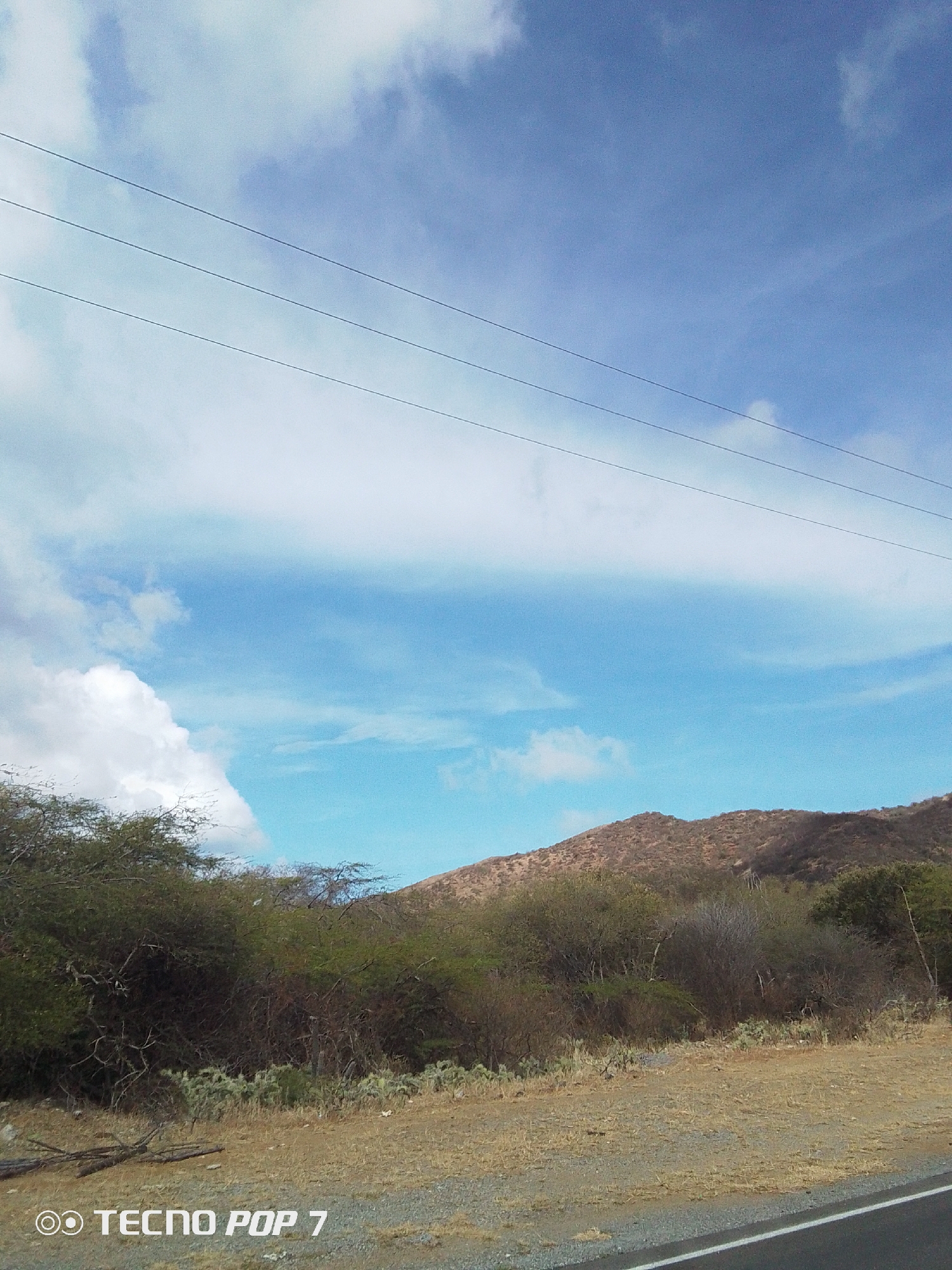 The image shows a landscape scene in Pedro González, Venezuela. In the foreground, there's dry grassy terrain with vegetation consisting of shrubs and trees. In the mid-ground, a low-lying, brown, scrub-covered hill is visible. Overhead, the sky is blue with scattered white clouds, and power lines stretch across the upper portion of the frame. At the bottom, there's a portion of what appears to be a paved road. A watermark indicates the image was taken with a Tecno Pop 7 device.