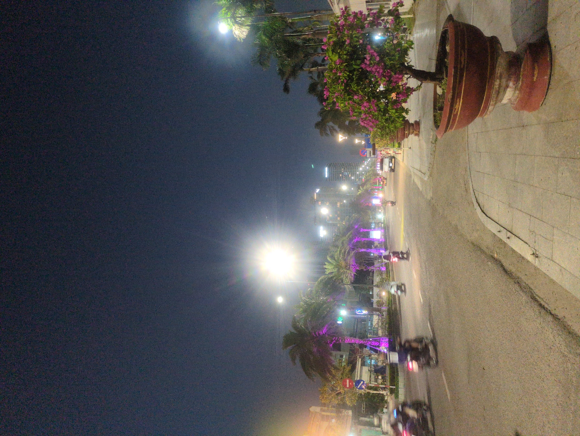 The image depicts a nighttime street scene in South Quy Nhon Ward, Vietnam. The street is brightly lit by streetlights, some of which cast a bright glare. Along the sidewalk, there are large potted plants with pink flowers. Palm trees line the street, with some illuminated by purple lights. Motorbikes are driving along the road, their headlights and taillights visible. In the distance, there are buildings and more streetlights. The sky is dark, suggesting it is late at night.