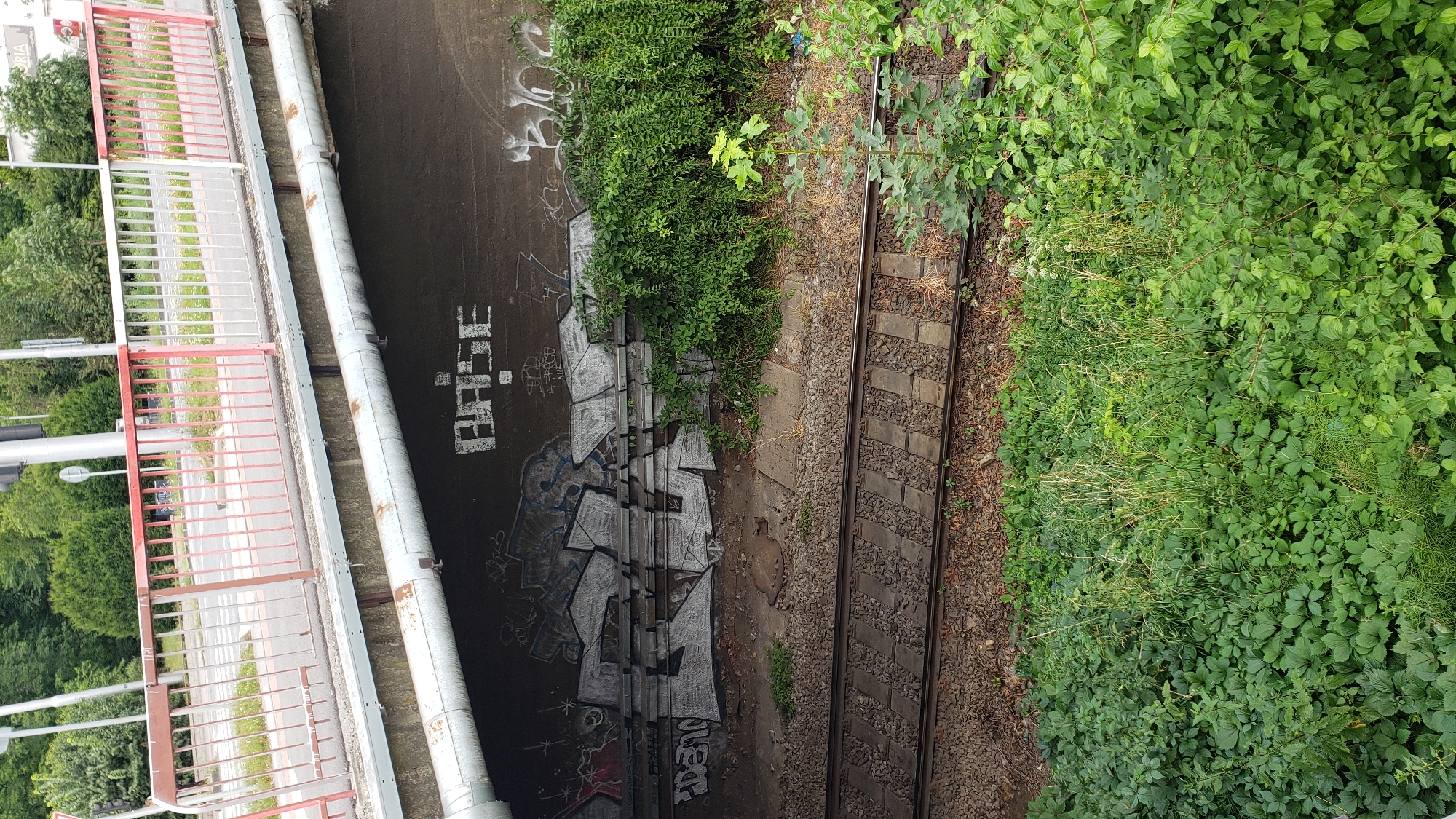 An eye-level, medium shot captures a section of the underpass of a pedestrian bridge in Prešov, Slovakia. The bridge's railing, painted red and white, is visible at the top, with a paved walkway behind it. A large, grey, cylindrical pipe runs horizontally along the underside of the bridge. The concrete wall beneath the bridge is covered in graffiti. On the left, complex, grey and white graffiti pieces are visible, with the word "BASE" painted in white block letters to the right. Below the wall, train tracks stretch horizontally across the frame. The tracks are bordered by gravel and then by dense green vegetation, including bushes and tall grasses, which also encroaches on the area around the tracks. The scene is devoid of any human presence.