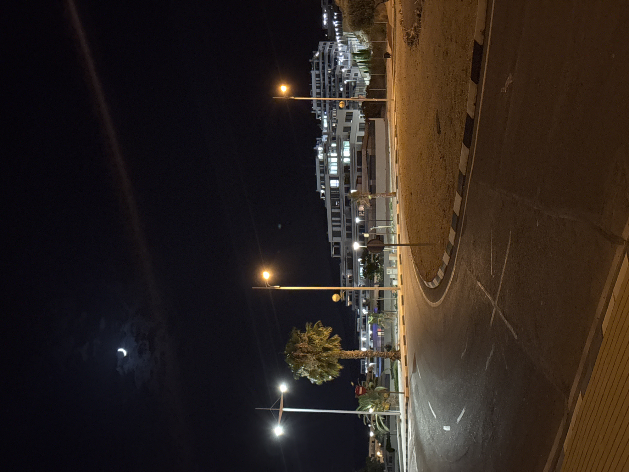 The image depicts a nighttime street scene in Finestrat, Spain, possibly a residential area or a development on a hillside. A crescent moon is visible in the dark sky. Several streetlights illuminate the asphalt road, which curves through the scene. A tall palm tree stands near the road, with other smaller trees and shrubs also present. In the background, a multi-story white building complex, illuminated from within, dominates the landscape, suggesting it is a modern development. The architecture of the building is characterized by multiple levels and balconies. The ground surrounding the road is covered in dry grass and gravel. The scene is quiet and appears uninhabited at the time the photograph was taken.