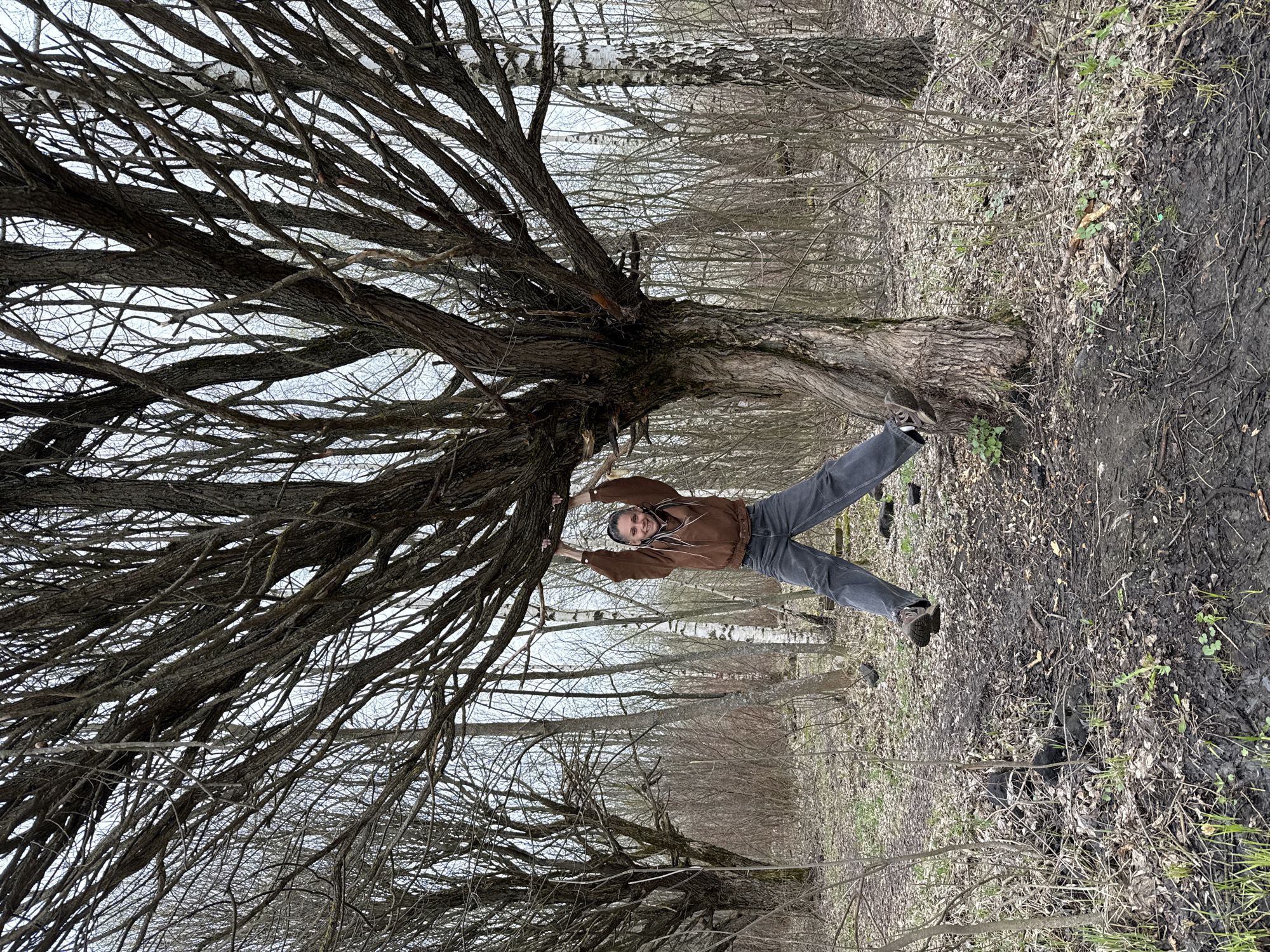 A person is hanging from a large, bare tree in a wooded area. The person is wearing a brown jacket and gray pants, and appears to be holding onto the tree branches with both hands. The ground is covered in leaves and dirt, and there are other trees visible in the background. The location is the city of Rusanovo, Russia.