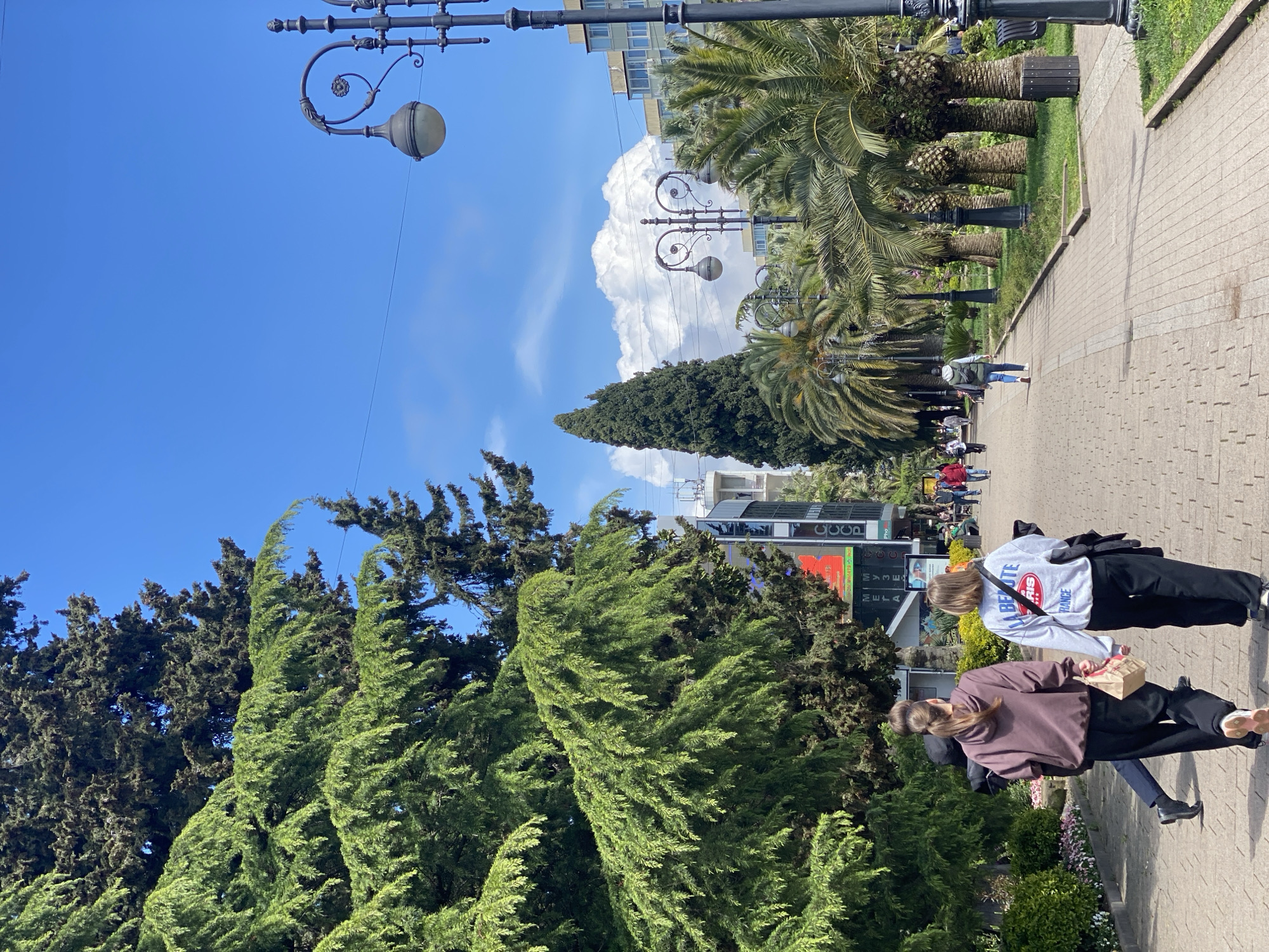 The image shows a street scene in Sochi, Russia. The foreground is dominated by lush greenery, including tall, mature evergreen trees and palms lining a paved walkway. Two women are walking along the walkway, one wearing a brown sweatshirt and the other in a grey sweatshirt with red lettering, both in black pants. In the background, more people can be seen strolling along the path. There are lampposts with ornate metalwork. Beyond the trees, buildings are visible, including one with a large advertising sign. The sky is blue with some fluffy white clouds.