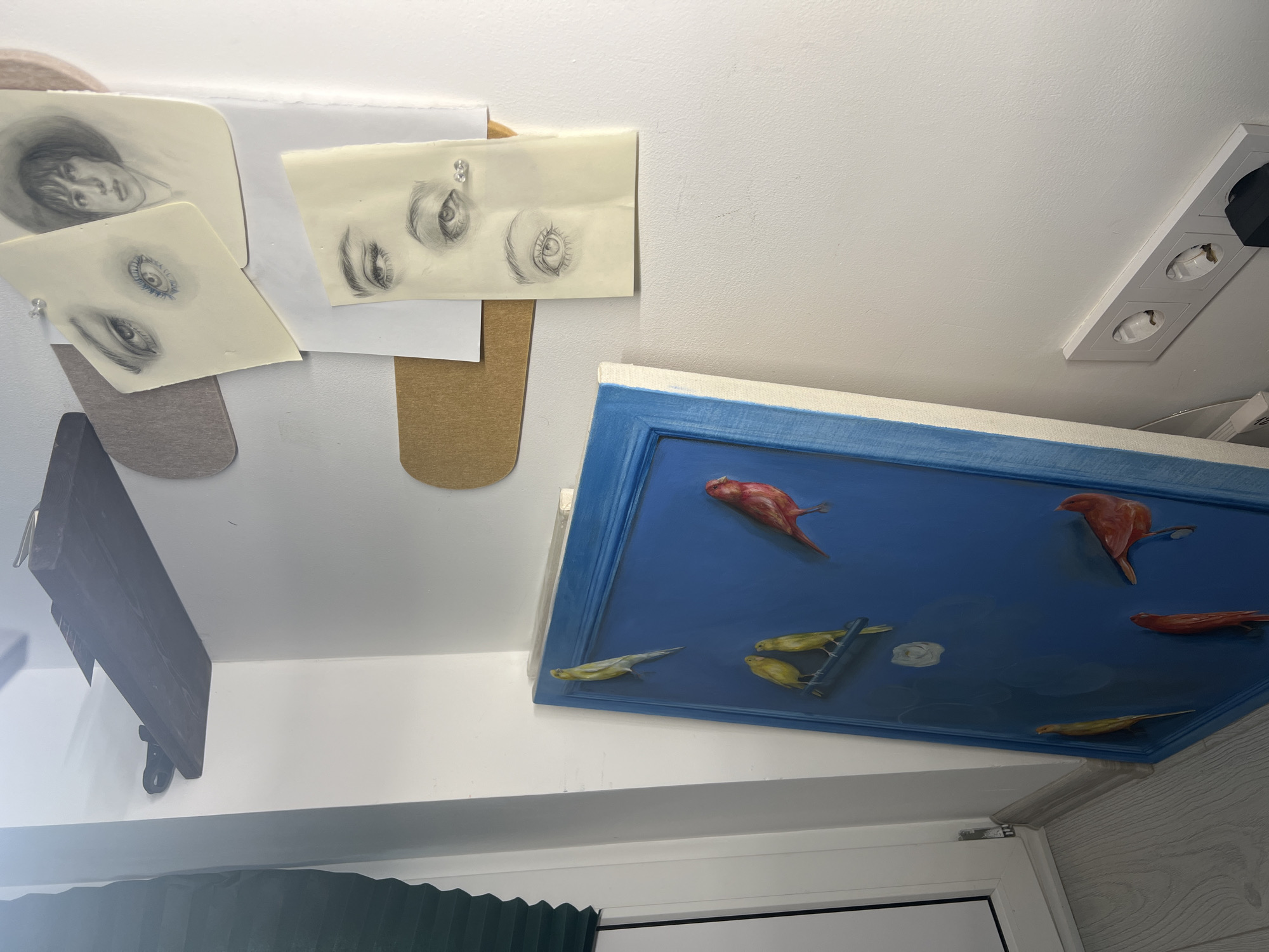 In an indoor, well-lit environment with white walls, a dark wooden shelf is mounted on the upper wall, holding a few paper artworks. These artworks appear to be pencil sketches of eyes and a portrait of a person's face wearing a hat, pinned to the wall. Below the shelf, a large, rectangular painting with a bright blue frame stands propped against the wall. This painting depicts several birds, some yellow and some red, scattered across the blue background, with some perched on a branch. To the left of the painting, a portion of a white window frame and dark green blinds are visible. On the lower right wall, a white triple electrical socket is installed, with one socket holding a black electrical plug. The floor is made of light-colored wooden planks. The overall scene suggests an artist's studio or a creative workspace.