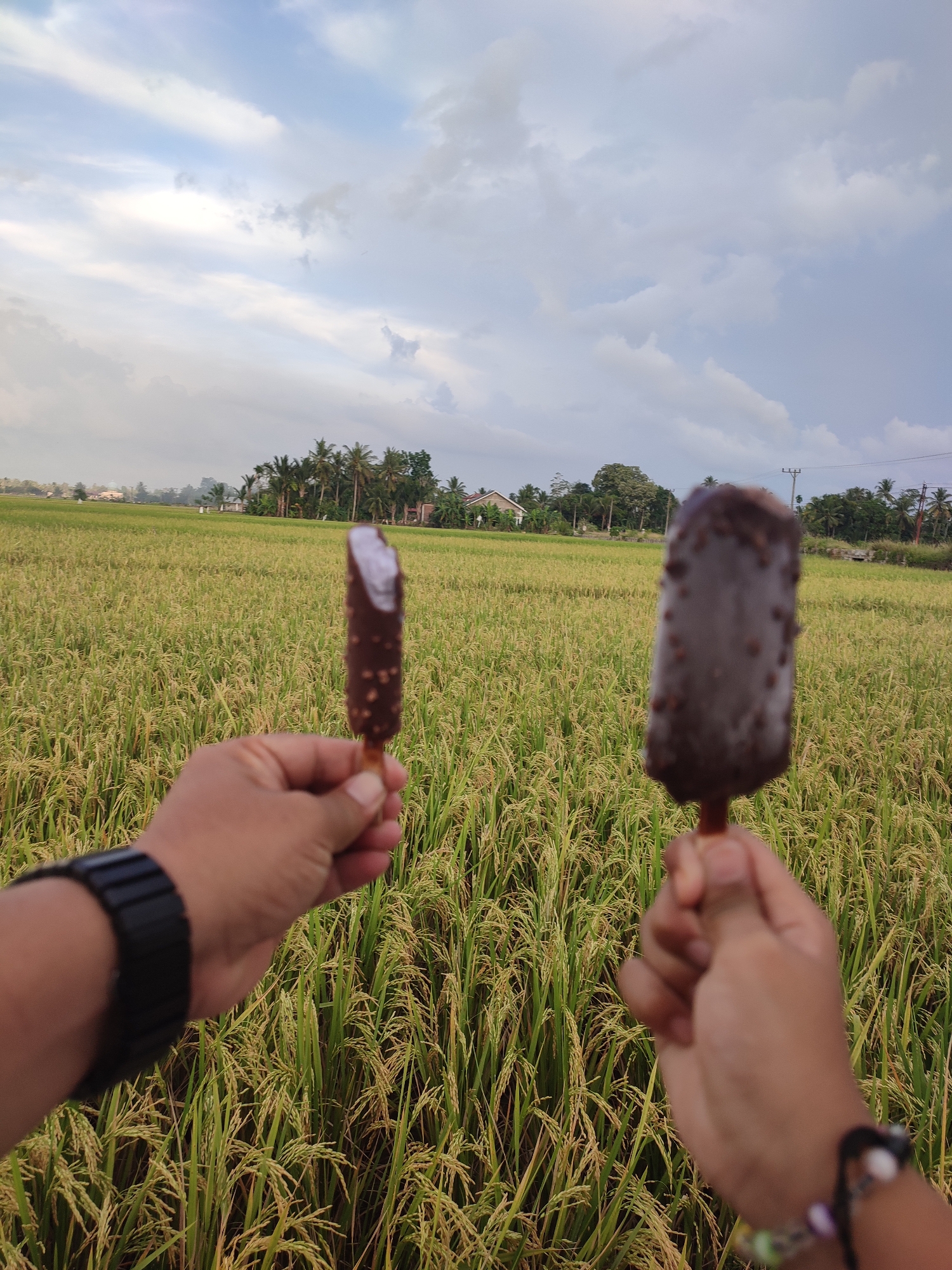 A medium-shot photograph captures two hands each holding a chocolate-covered ice cream bar. The left hand has a black wristwatch on the wrist. The right hand has a bracelet on the wrist. A bite is missing from the ice cream in the left hand. In the background, a field of rice plants extends to the horizon, with trees and a few buildings visible in the distance. The sky overhead is cloudy and overcast. The image location is Muliengmanyang, Indonesia.