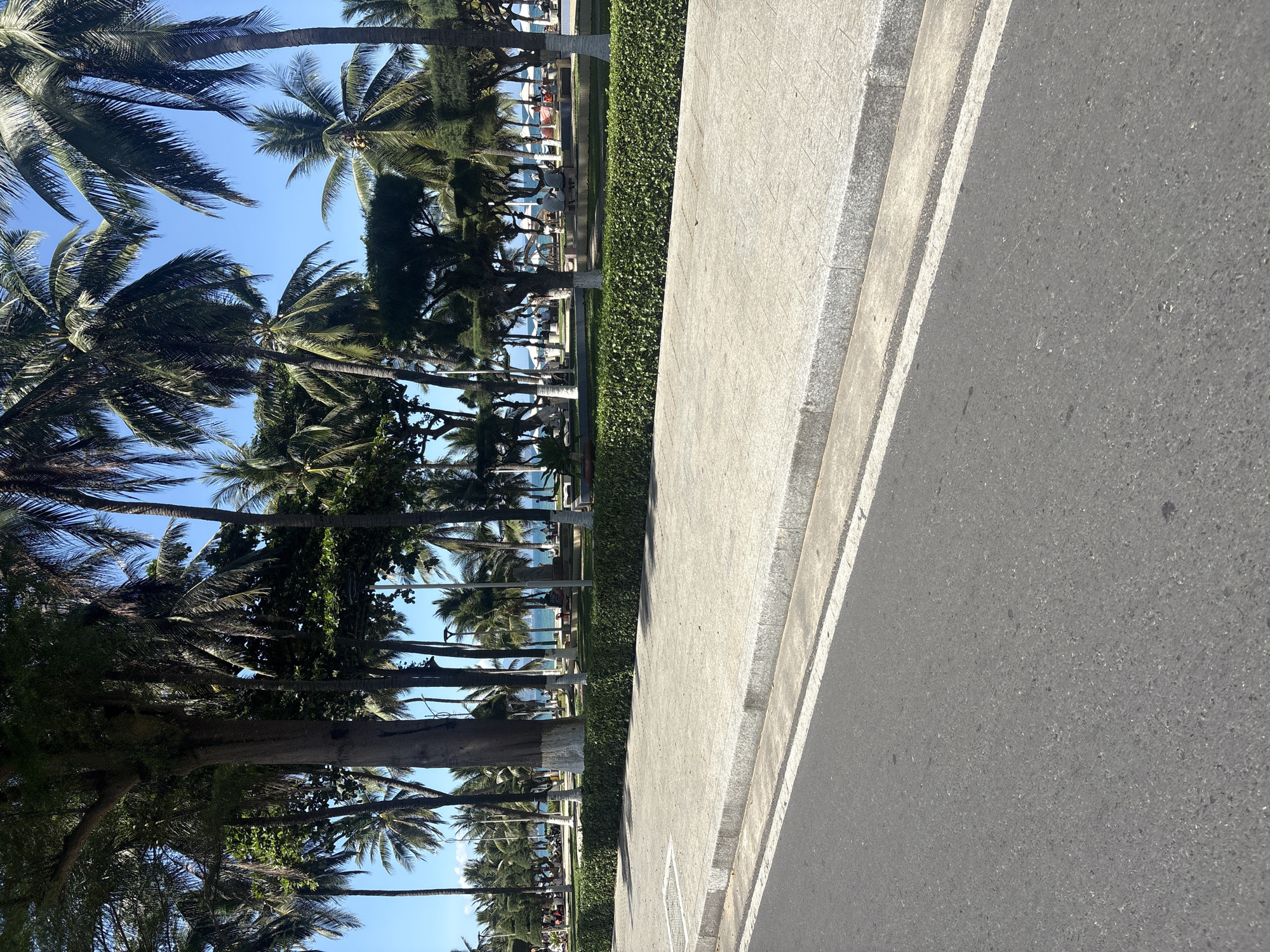 The image depicts a street scene in Nha Trang, Vietnam. On the left, a row of palm trees lines the street, with a glimpse of the beach and ocean visible in the distance. A well-maintained green hedge separates the trees from the sidewalk. The right side of the image is dominated by the asphalt road, bordered by a concrete curb. No people are clearly visible. The sky is blue, suggesting a sunny day.