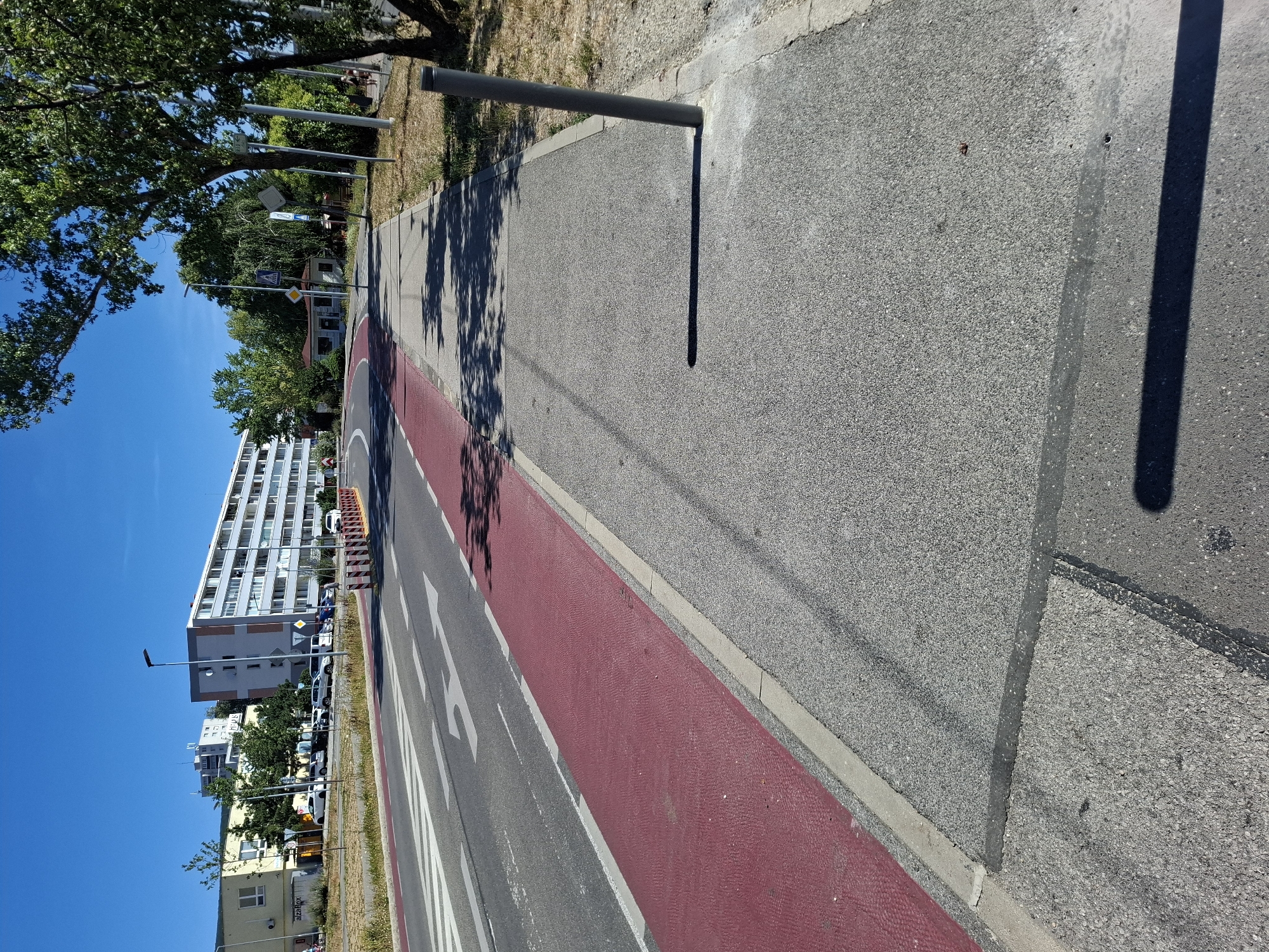 This is a street-level, eye-level, medium shot taken on a sunny day in Bratislava, Slovakia, on a city street. The foreground shows a concrete sidewalk with some patches of dry grass and a vertical metal pole casting a long shadow. The sidewalk borders a red-painted bike lane, which is next to a lane of asphalt road marked with white directional arrows indicating a turn. Beyond the road, there is a pedestrian crossing. In the background, there are several multi-story buildings, some with balconies, and trees. Traffic barriers are visible in the distance. The sky is clear and blue.