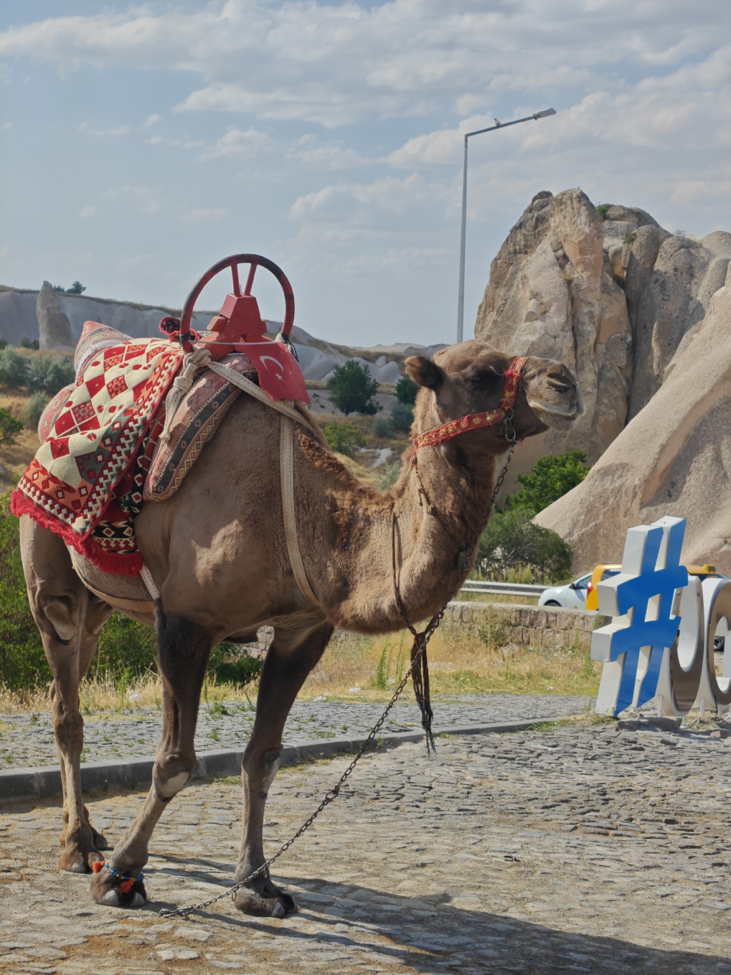 In Uçhisar Beldesi, Turkey, a dromedary camel stands tethered on a cobblestone path. The camel is equipped with a saddle blanket featuring a red, white, and tan geometric pattern and a red saddle seat with a steering wheel-like structure. A Turkish flag is attached to the saddle. The animal is wearing a red bridle with a chain. In the background, peculiar rock formations, characteristic of Cappadocia, rise under a partly cloudy sky. A lamppost stands to the left of the rocks. To the right, large blue and white hashtag signage is visible. A road with a yellow vehicle can be seen behind a stone wall. The overall scene depicts a tourist-oriented landscape common in the region.