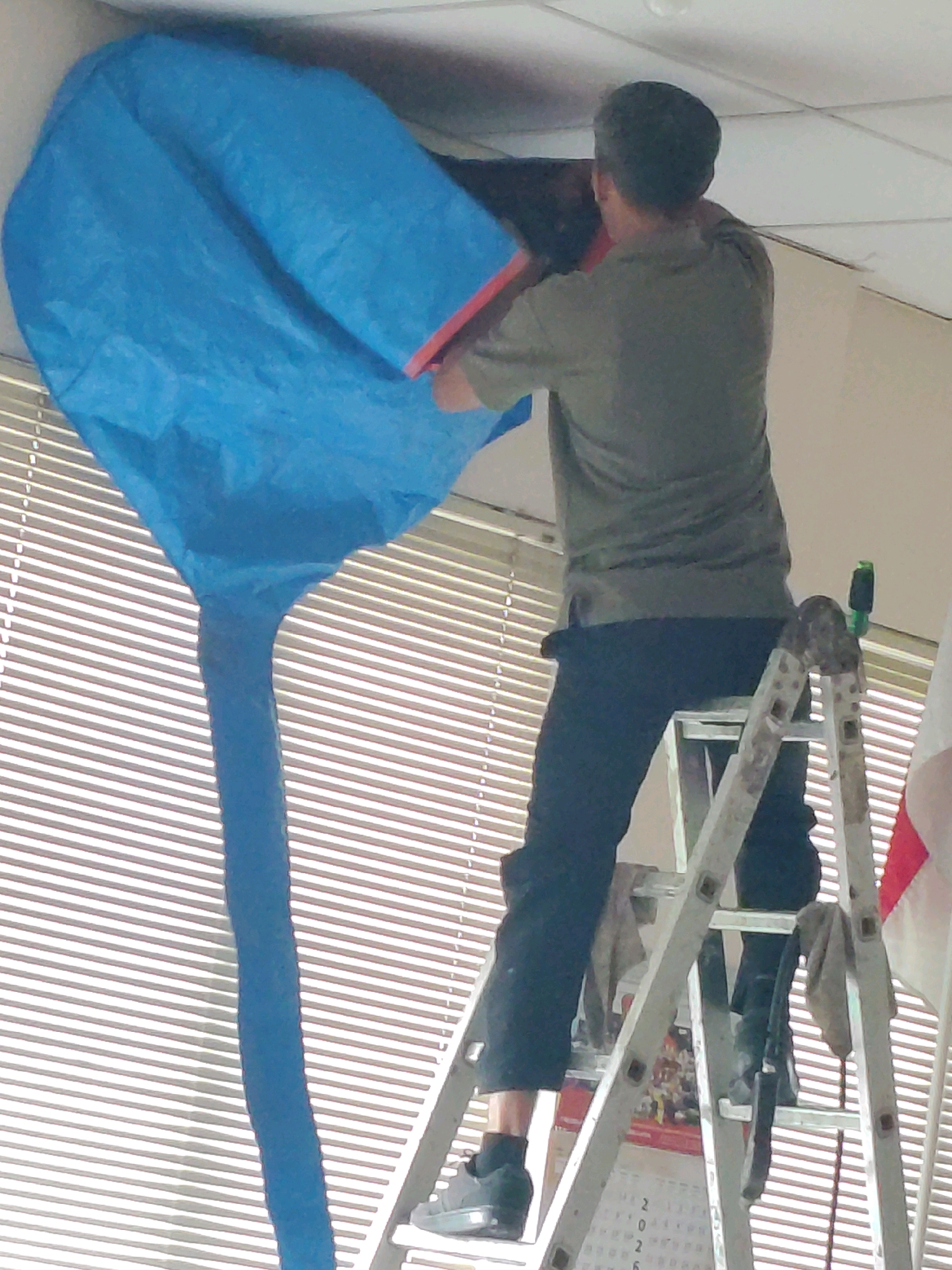 A person wearing a green shirt and dark pants is standing on a ladder, holding a large blue tarp with a red edge near the ceiling. The tarp is draped over something unseen above. The background consists of horizontal blinds on a window. The scene appears to be indoors, possibly an office or commercial space. There is a flag partially visible on the right side of the image. The context of West Jakarta, Indonesia, is not discernible from the visual information provided in the image itself.