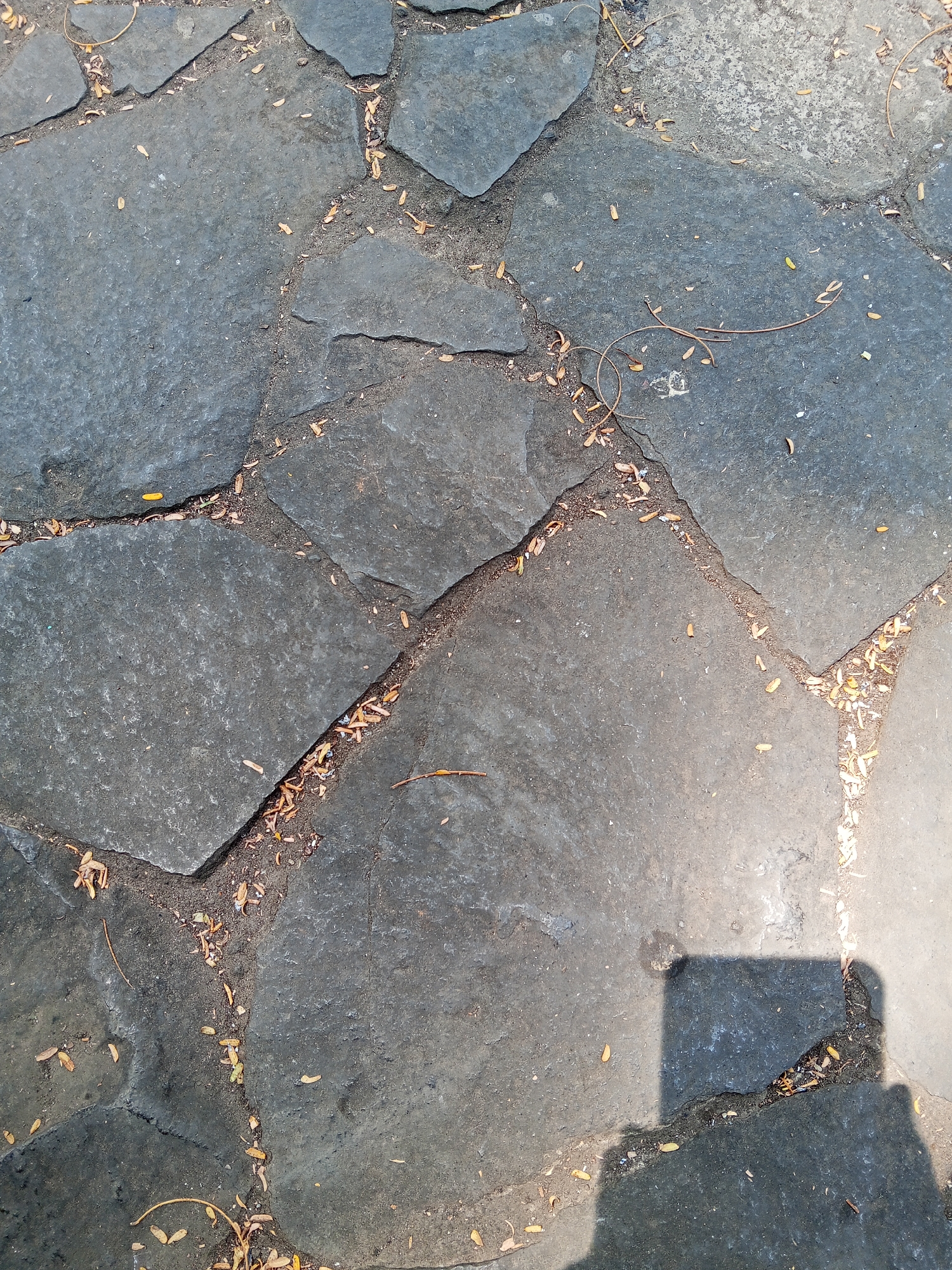 The image shows a close-up view of a stone pathway in Semarang, Indonesia. The pathway is made of irregular, dark gray flagstones with visible cracks and gaps filled with dirt and small fallen leaves. The stones are weathered and uneven, indicating an outdoor setting. A shadow of a person holding a camera or phone is visible in the bottom right corner, suggesting the photograph was taken by someone on the pathway. The lighting suggests it is daytime, with sunlight casting a shadow.