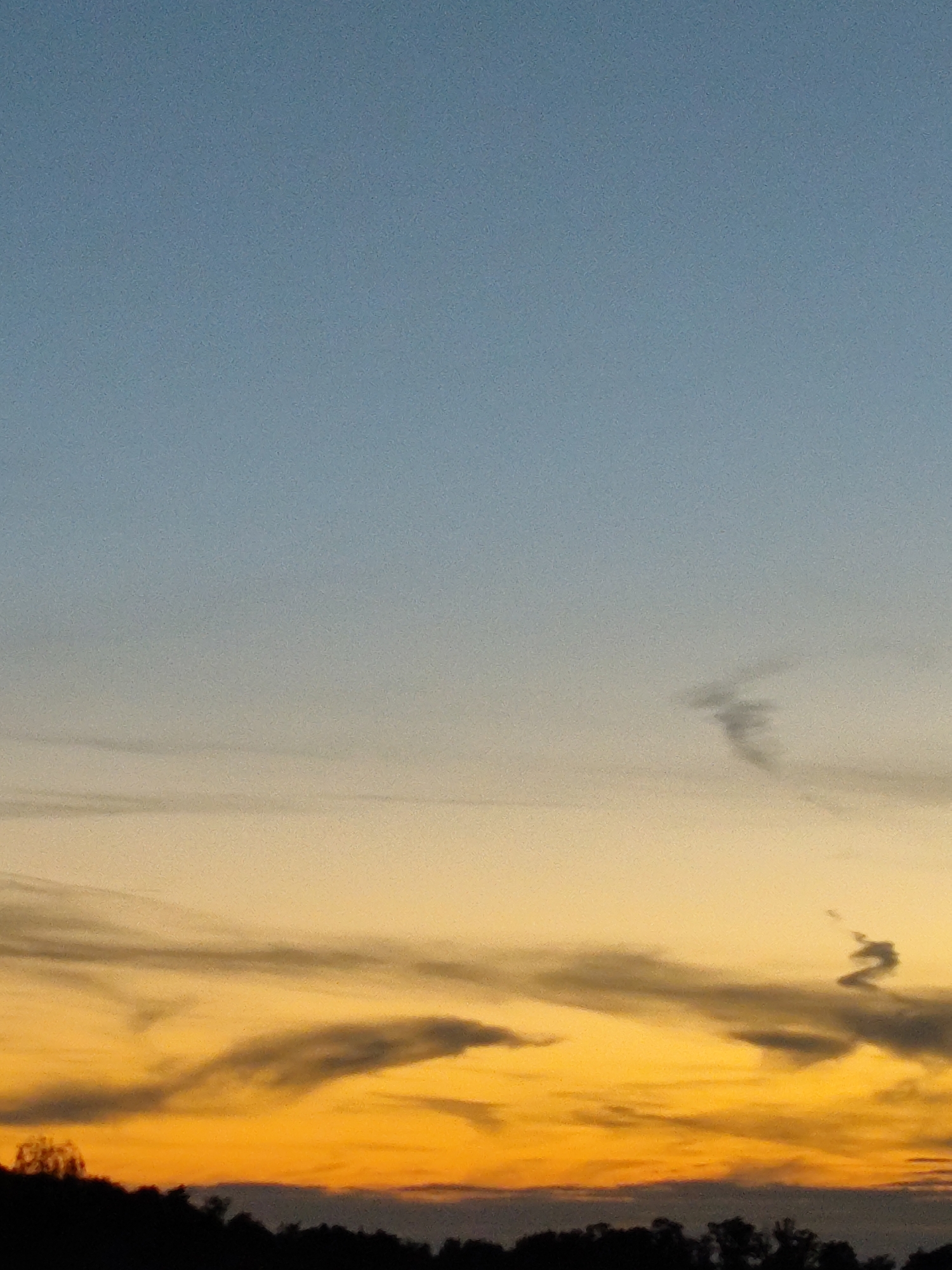 The image depicts a twilight sky with a gradient of colors from deep blue at the top to bright orange at the horizon. Scattered clouds are visible, some appearing wispy and elongated, while others are more defined. In the mid-sky, a dark, cloud-like formation resembles a stylized bird in flight. Near the horizon, a silhouetted line of trees and foliage forms the foreground, suggesting a landscape setting, possibly on the outskirts of a city. The overall atmosphere is serene and indicative of the end of the day. The context of Zielona Góra, Poland, implies this scene is captured within or near the city's boundaries, possibly overlooking a natural area or parkland.