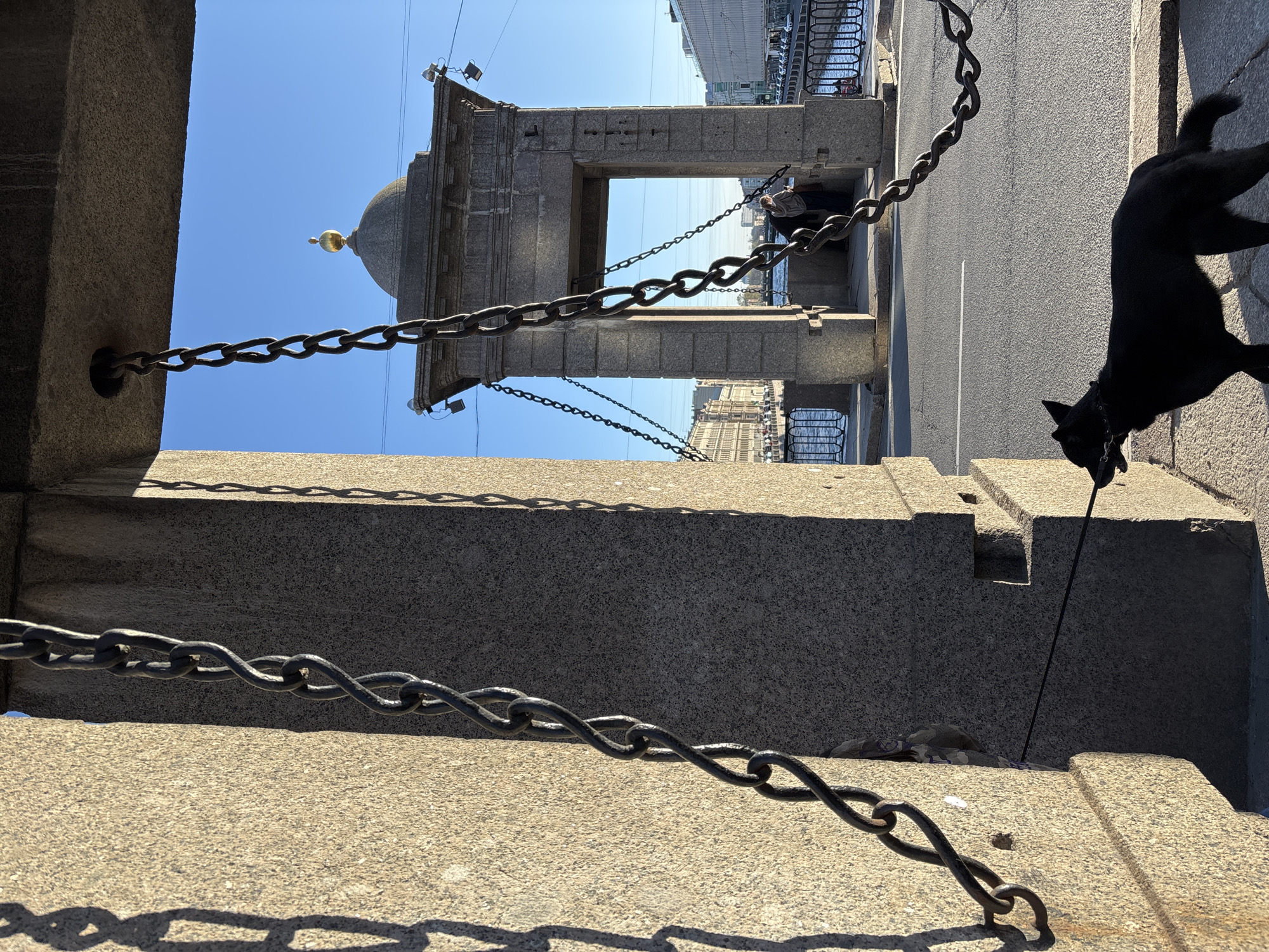 The image depicts a view along the Palace Embankment in Saint Petersburg, Russia, looking toward the Summer Garden. The foreground shows a granite parapet with a heavy metal chain. A black dog is on the right side, near the parapet. In the middle ground is a stone pavilion with a gilded dome. Further in the background is the Neva River and buildings along the embankment, including a bridge. The sky is clear and blue.