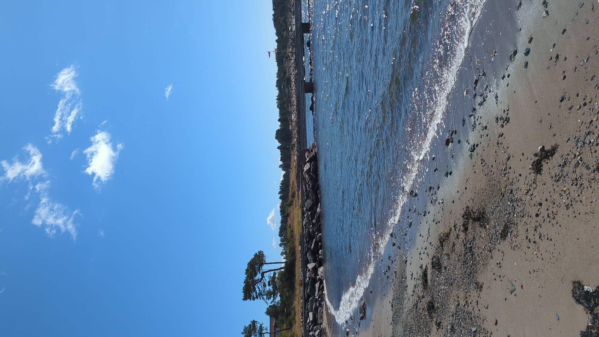This is a vertical, medium-shot, eye-level photograph taken on a sunny day at the coast in Larkollen, Norway. The scene depicts a beach with a body of water, a bridge, and a vegetated shoreline. The foreground is dominated by a sandy and pebble-strewn beach, with a gentle wave lapping at the shore. Some dark seaweed is visible scattered on the beach. The middle ground features the choppy, blue water of the sea, reflecting the bright sunlight. A stone breakwater or embankment curves along the shoreline, separating the beach from the water. Beyond the breakwater, a wooden bridge stretches across the water, supported by concrete pillars. The bridge has a railing and appears to be accessible. The background shows a wooded area with tall, slender trees, some with dry grass in front of them. A building with a reddish-brown roof is partially visible amongst the trees on the left. The sky is a clear, vibrant blue with a few wispy white clouds.