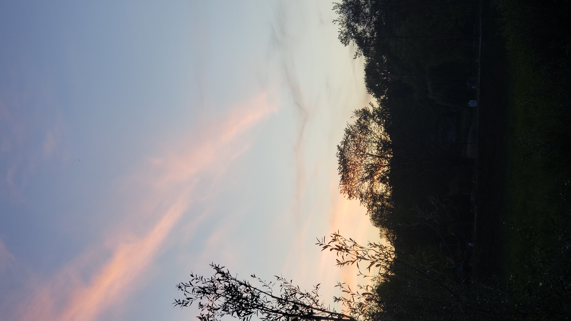The image depicts a twilight scene with a gradient sky transitioning from light blue at the top to soft orange and pink hues near the horizon. Delicate streaks of pink clouds are visible against the blue. Silhouetted against the sky is a line of trees, forming a dark band across the middle ground. In the foreground, there is a dark, silhouetted grassy area and branches of a tree on the left side of the frame. A few indistinct figures are visible on a path or walkway in front of the trees, suggesting a park or recreational area. The overall impression is one of a serene evening in a natural or park setting within the city of Prešov, Slovakia.