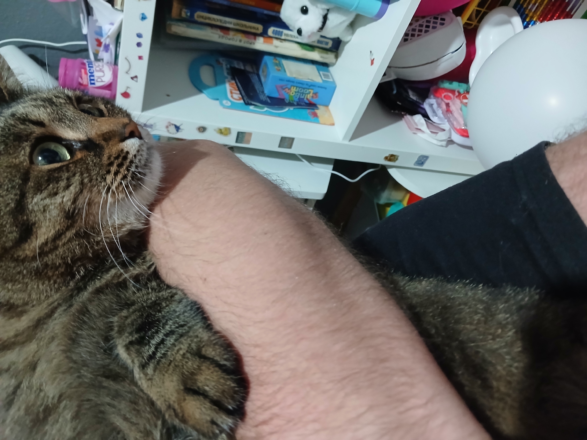 A close-up, vertical shot features a brown tabby cat being held by a person's arm and chest. The cat's head and part of its body are visible, with its green eyes looking to the right. A shelf unit filled with books and toys is in the background. The scene is indoors, likely in a residential setting. No specific location in Yekaterinburg, Russia can be identified from the image.