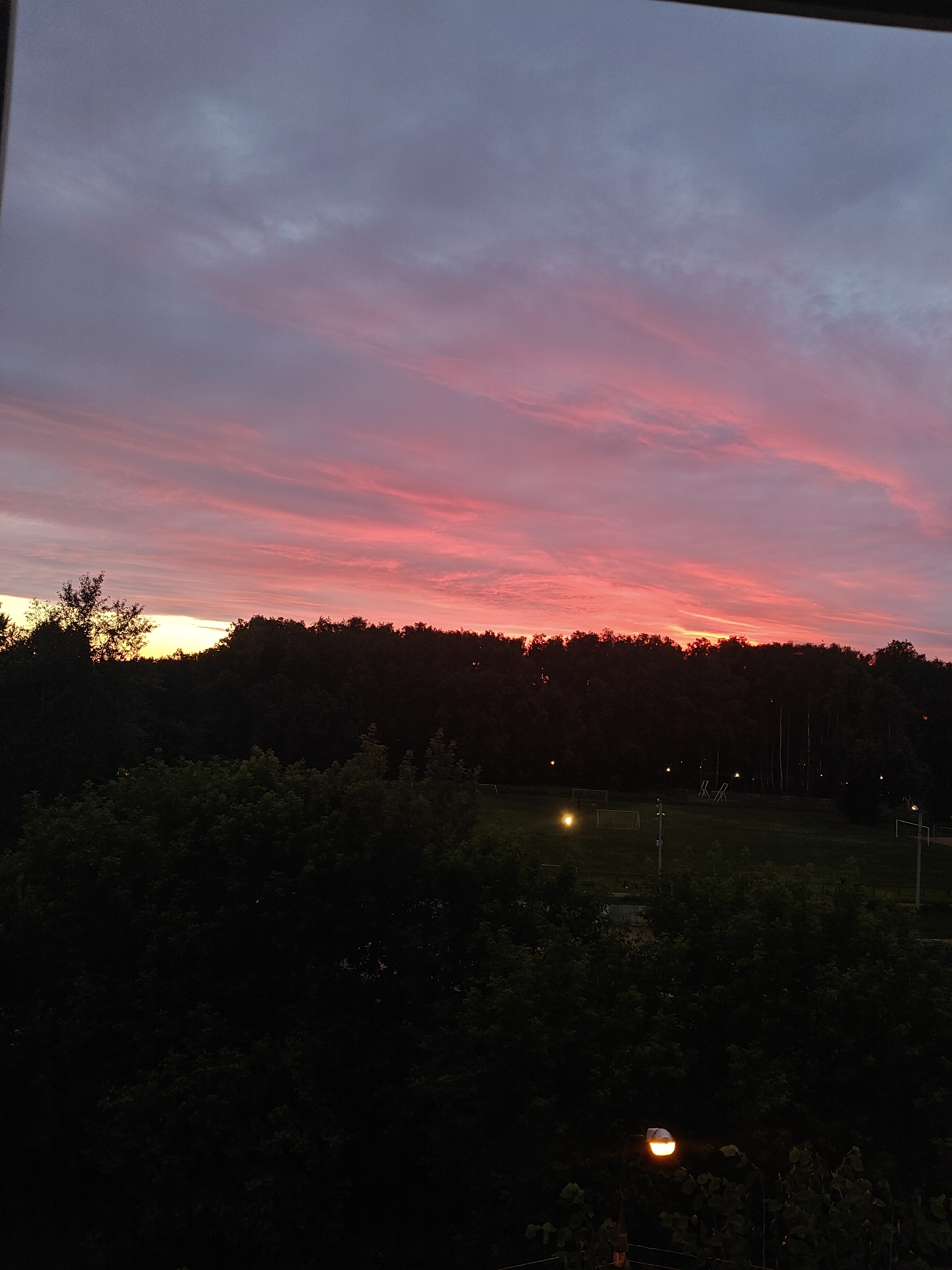 A panoramic shot of a sunset over Pushkino, Russia. The sky is ablaze with hues of pink and purple, painted across a backdrop of muted gray clouds. Silhouetted against the vibrant sky is a dense line of trees, their dark forms creating a stark contrast. In the foreground, the tops of trees are visible, some with leaves catching the faint light, while others are shrouded in deep shadow. The scene suggests an evening setting, possibly in a park or natural area, with artificial lights from streetlamps visible in the mid-ground, illuminating patches of a grassy field. The overall impression is one of tranquil beauty as day transitions into night.