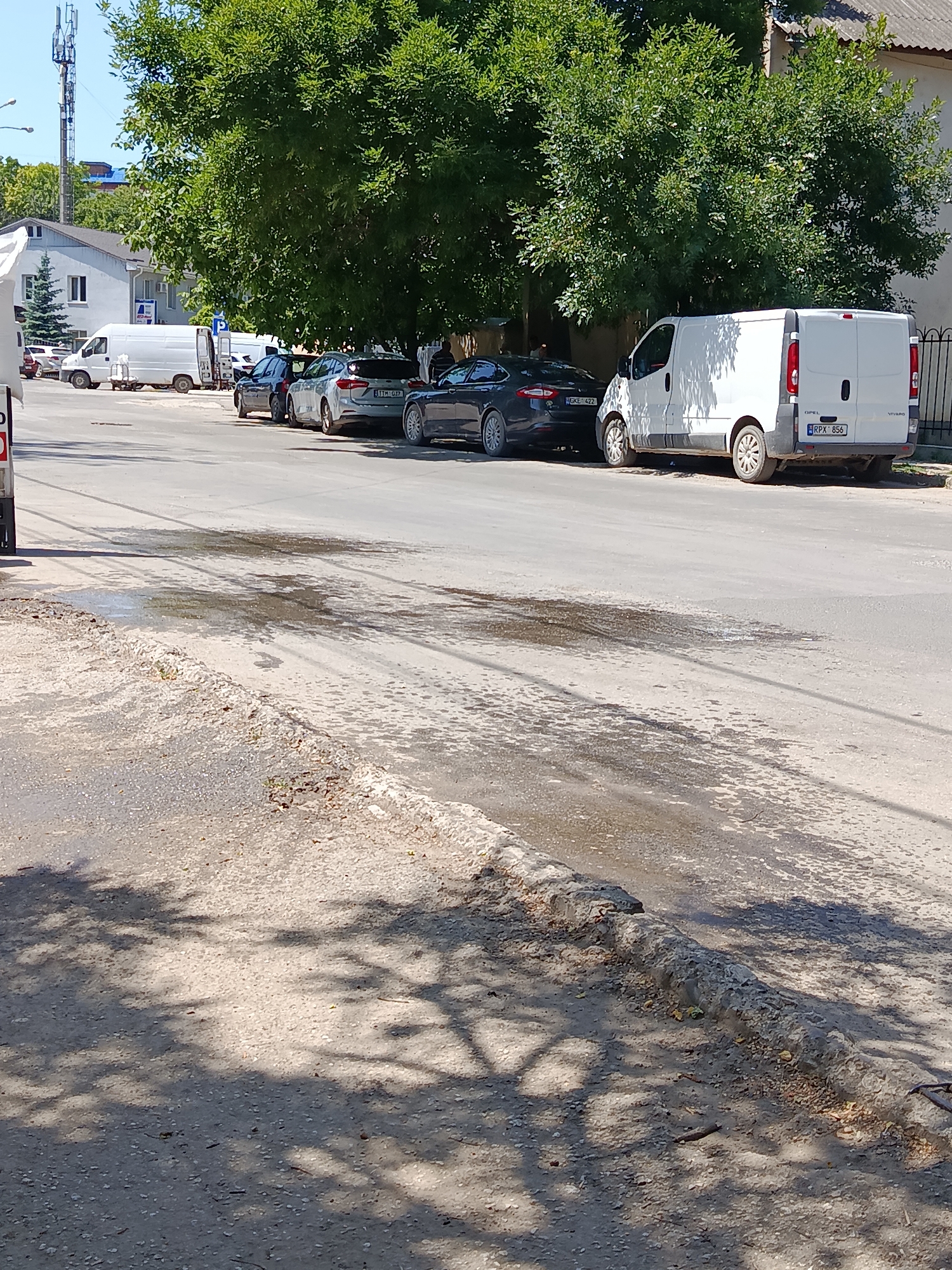 The image shows a street scene in Bălți, Moldova, on a sunny day. Several cars and a white van are parked along the side of the road, which appears to be wet or damp in places, possibly due to recent rain or a spill. A large tree with lush green foliage provides shade over the parked vehicles and the road. In the background, there are buildings and a tall telecommunications tower. The scene is likely taking place during daylight hours, as indicated by the bright sunlight and the shadows cast by the tree. No people are clearly visible in the image, but one person can be seen partially obscured by a tree in the distance. The overall impression is a quiet, everyday street scene in a European town. Visible text includes license plates on the cars and the van. One license plate reads "RPX 856".