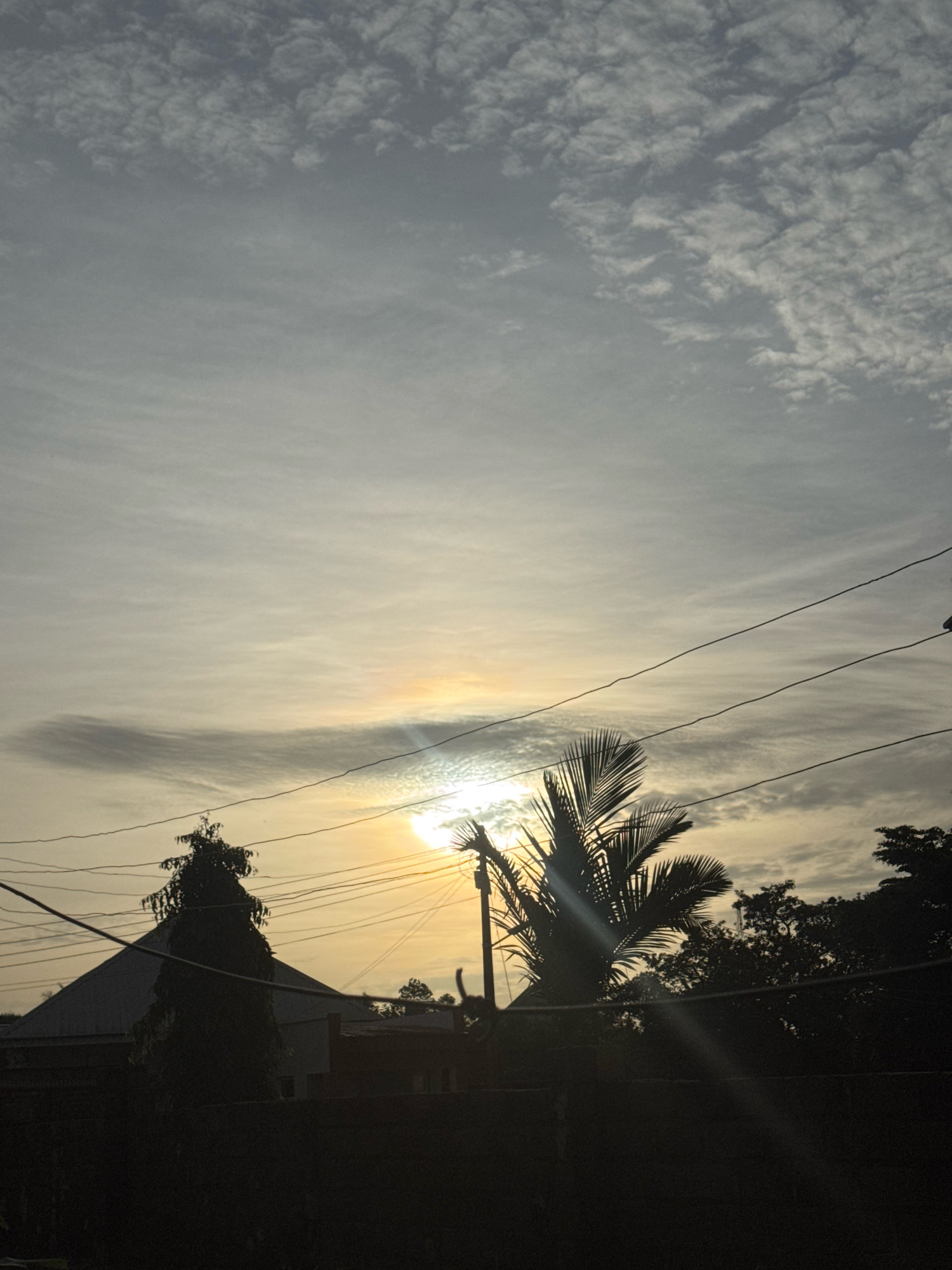 A low-angle, full shot captures a silhouetted palm tree in the foreground, its fronds fanning out against a hazy sky. The sun, a bright orb, is partially obscured by clouds and a rainbow-like halo. Power lines crisscross the frame, dividing the sky and silhouetting trees and buildings in the middle ground. A pointed roof of a house is visible on the left, and the dark silhouette of a wall or fence runs across the bottom of the image. The scene is set against a backdrop of a partly cloudy sky with a warm, diffused light, suggesting either sunrise or sunset.