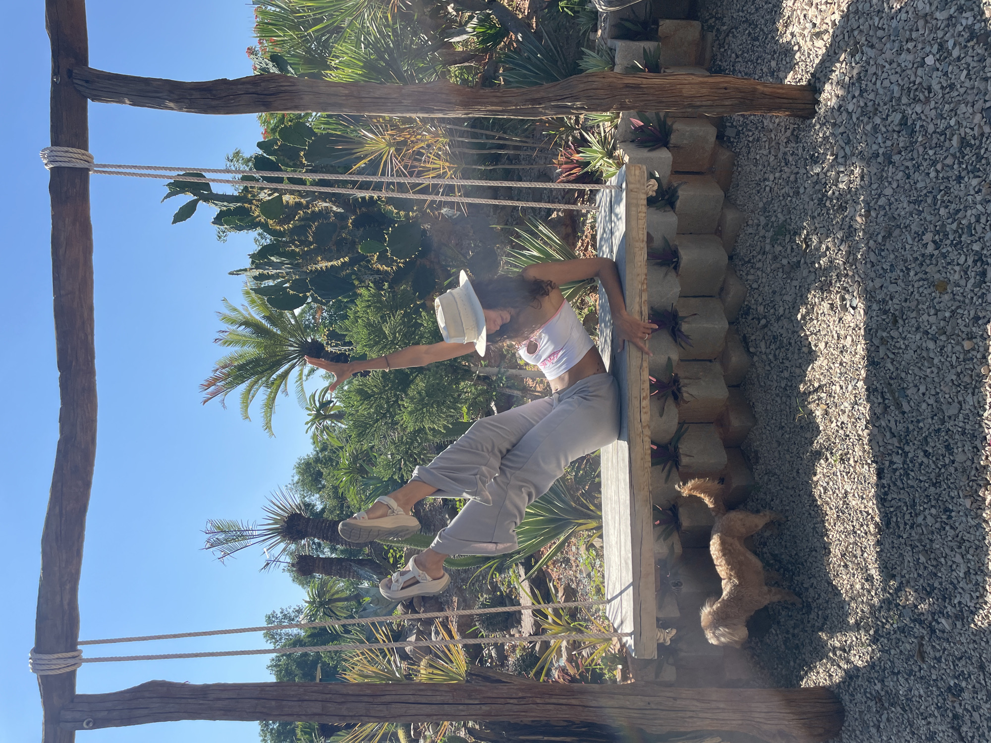 A young woman with dark curly hair, wearing a white hat, a white crop top, and grey pants, is lying on a wooden swing. Her legs are extended upwards, and her right arm is raised. She is in a garden with various plants, including palm trees and cacti. A small, light brown dog is standing on the gravelly ground to the left of the swing. The scene is lit by bright sunlight, casting shadows on the ground. The location appears to be an outdoor garden or resort area.