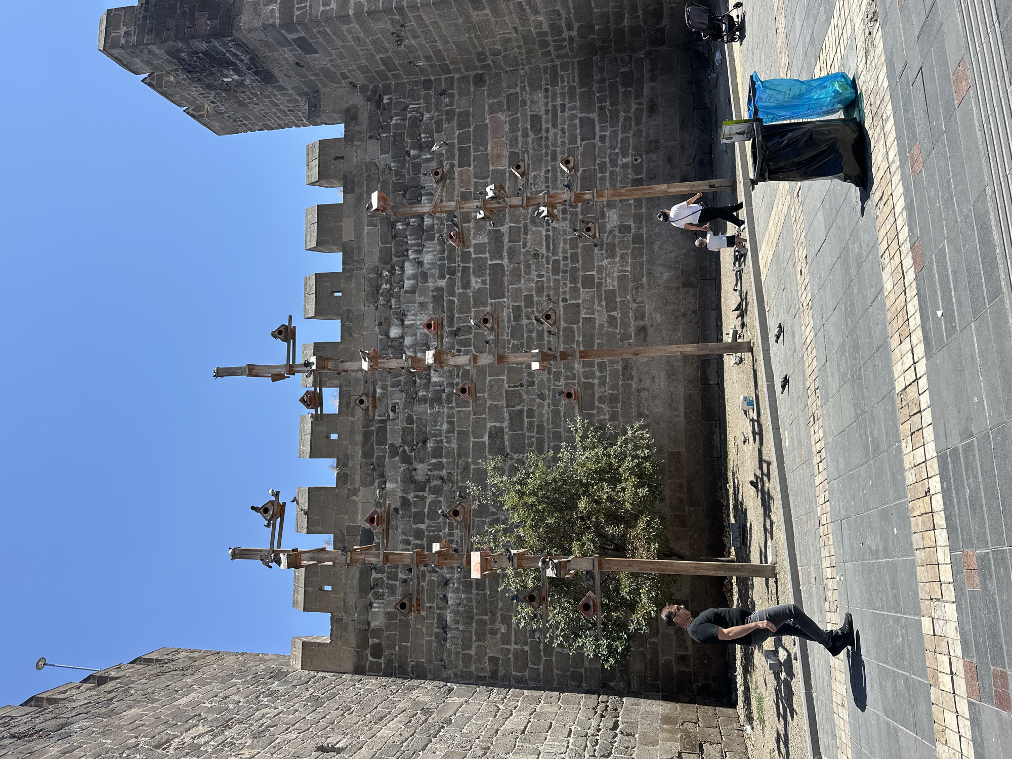 The image depicts a section of the historic Kayseri Castle in Kayseri, Turkey, on a clear, sunny day. The castle walls, constructed of large, dark grey stones, rise up on either side of the frame. Mounted on wooden poles against the castle wall are numerous birdhouses, many of which are occupied by pigeons. The ground in front of the wall is paved with grey and beige tiles, with some patches of dirt and sparse vegetation.
In the foreground, a man wearing a black t-shirt, grey jeans, and sunglasses walks from left to right. He casts a distinct shadow on the paved ground. Further back, a woman in a white t-shirt and black pants walks to the right, holding the hand of a young child wearing a light-colored t-shirt and dark shorts. Pigeons are scattered across the paved area and the dirt patch.
To the right of the frame, two garbage bins are visible: one black and one blue, the latter containing some trash. A baby stroller is parked in the far right background. The sky is a bright, cloudless blue. The overall impression is of a public space within or adjacent to an ancient fortress, actively used by both people and birds.