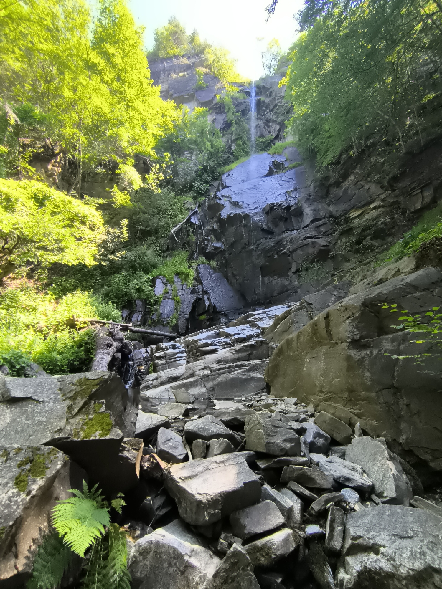 This is a low-angle, wide shot of a waterfall cascading down a rocky cliff face, surrounded by dense green foliage and trees. The foreground is dominated by large, rough-hewn rocks of varying sizes, some covered with moss. A narrow stream of water flows between these rocks, disappearing into the shadows. In the middle ground, the waterfall plunges onto a large, flat, wet rock formation. The cliff face behind the waterfall is dark and striated, with patches of green vegetation clinging to its surface. The upper parts of the image are filled with the bright green canopy of trees, with sunlight filtering through the leaves. A thin stream of water can be seen falling from the top of the cliff. The scene appears to be a natural outdoor setting, likely a ravine or canyon. The location is specified as a waterfall in the city of Kovachevitsa, Bulgaria. There are no people visible in the image.
