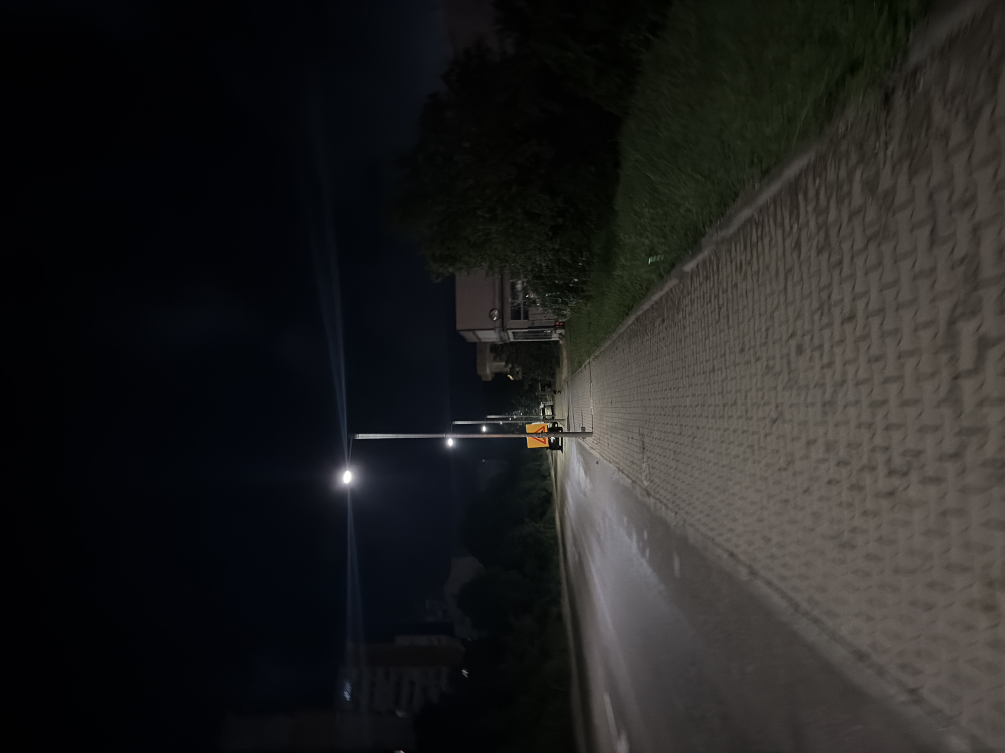 The image captures a quiet street scene at night, likely in an urban or suburban area of Dobrich, Bulgaria. The perspective is low, looking down a wet road or pathway that stretches into the distance, illuminated primarily by artificial streetlights.
**Subjects:**
The primary subjects are the infrastructure of the street: a paved road, a textured sidewalk made of interlocking pavers, and a strip of green grass bordering the sidewalk on the right. Several streetlights stand tall along the left side of the road, their bright, cool light cutting through the darkness. In the background, dimly lit buildings and dark silhouettes of trees are visible. No people or vehicles are present, leaving the scene empty.
**Activity or event taking place:**
There is no discernible activity or event taking place. The scene is static, depicting a deserted street at night.
**Notable details:**
The most striking detail is the **time of day**, which is clearly night, evidenced by the dark sky and reliance on artificial lighting. The **weather** appears damp, as the road surface is wet and reflective, suggesting recent rain or heavy dew. The streetlights create strong points of illumination, casting long, soft glows on the wet ground and contrasting with the deep shadows. One prominent streetlight is in the mid-ground on the left, while another further down the road, closer to the right side, has a small, triangular **yellow sign** attached to its pole. The details of this sign are not clear enough to discern its specific meaning, but it appears to be a warning or informational sign. The left portion of the image is predominantly dark, almost entirely taken up by the night sky, with only faint, vertical light streaks visible, possibly lens flares. The overall atmosphere is one of stillness and quiet solitude.
**Visible text:**
No discernible text is visible in the image.