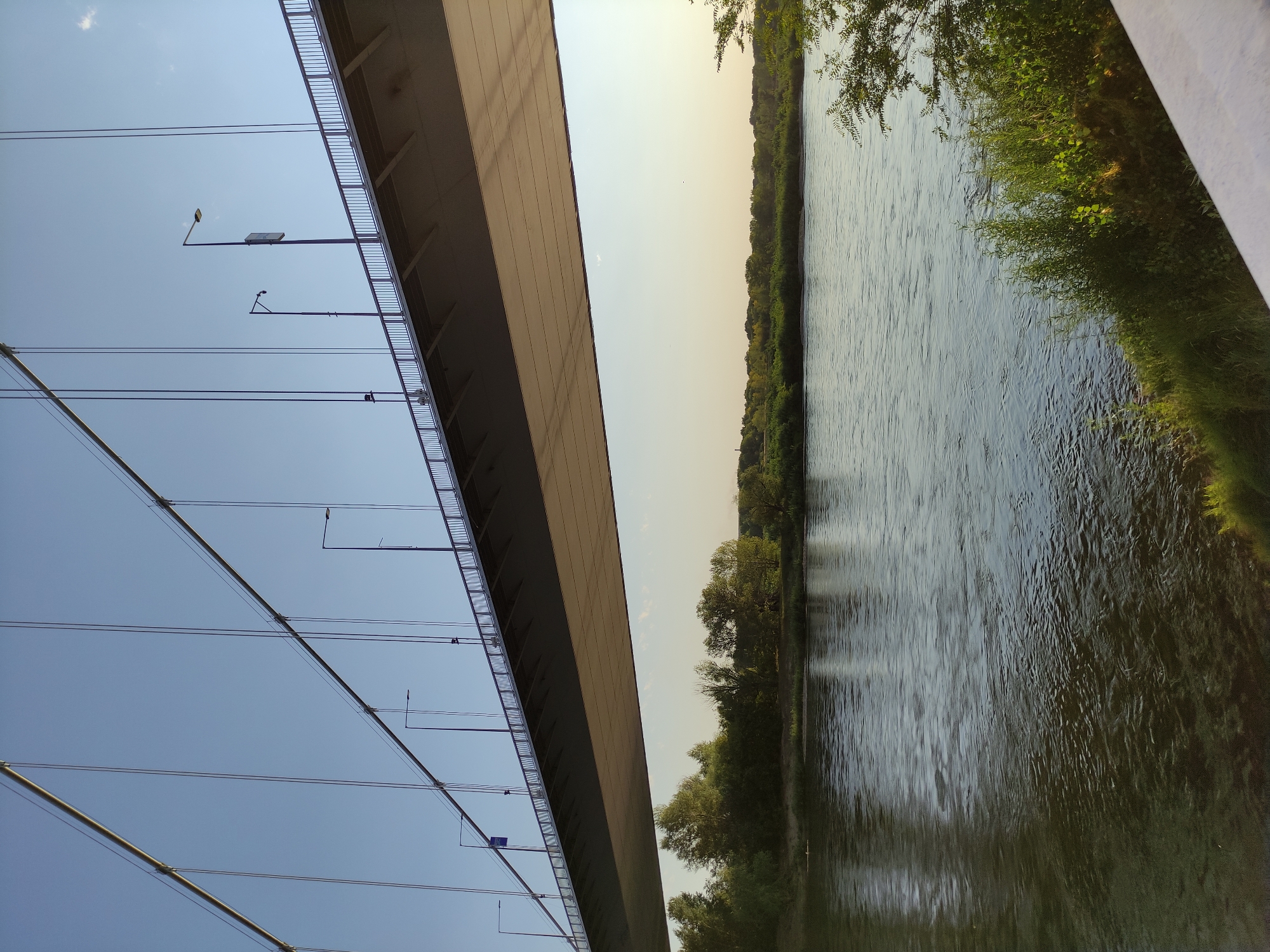 The image captures a wide river flowing through a verdant landscape, with a large suspension bridge dominating the upper portion. The bridge, with its substantial concrete deck suspended by numerous cables, stretches across the frame. Along the bridge's railing, several lampposts are visible, including two with distinct camera fixtures. The river's surface is rippled, reflecting the clear, pale blue sky and the golden hues of the setting or rising sun, which casts a warm glow on the scene. The riverbanks are lined with lush green trees and vegetation, creating a natural boundary between the water and the distant horizon, which is dotted with more trees. The overall impression is one of a serene, natural environment juxtaposed with impressive human engineering. This scene is consistent with the appearance of the bridges crossing the Irtysh River in the city of Semey, Kazakhstan.