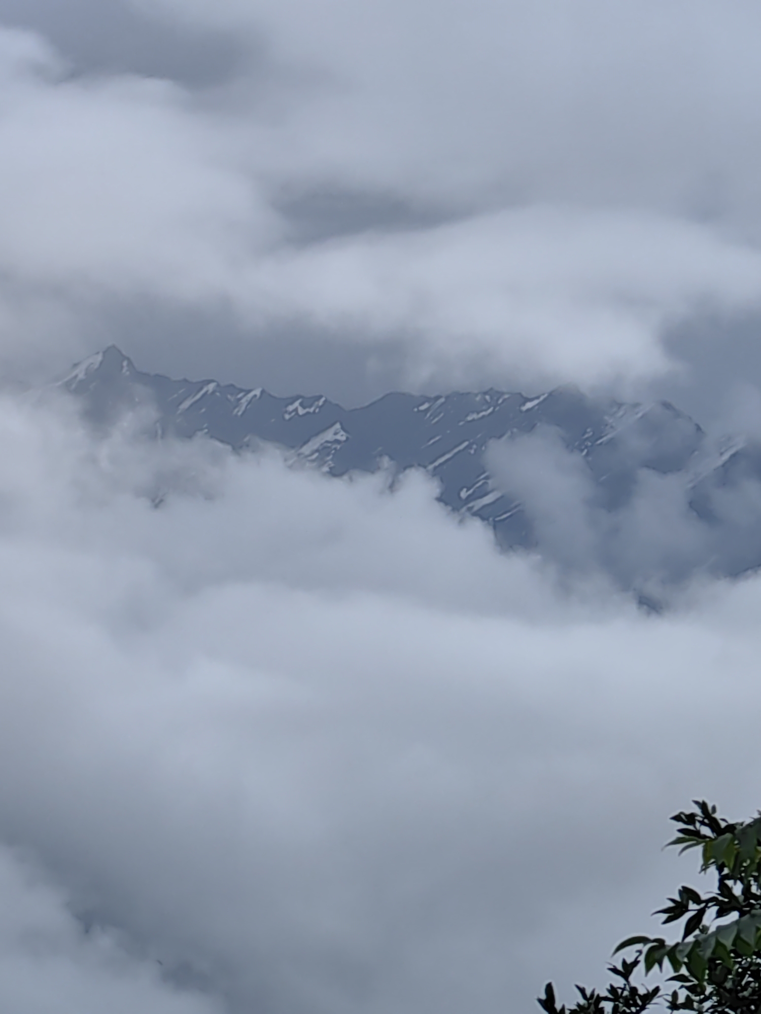A majestic mountain range, partially obscured by thick, billowing clouds, is visible in the distance. The peaks are jagged and appear to be snow-capped in some areas, with dark rock faces emerging from the white of the snow and clouds. The clouds themselves are a mix of white and dark grey, creating a dramatic and moody atmosphere. In the foreground, on the right side of the image, the top branches of a lush green tree are visible, their leaves catching the dim light. The overall scene is one of natural grandeur and a sense of being high above the world. The image was taken in Vashisht, India.