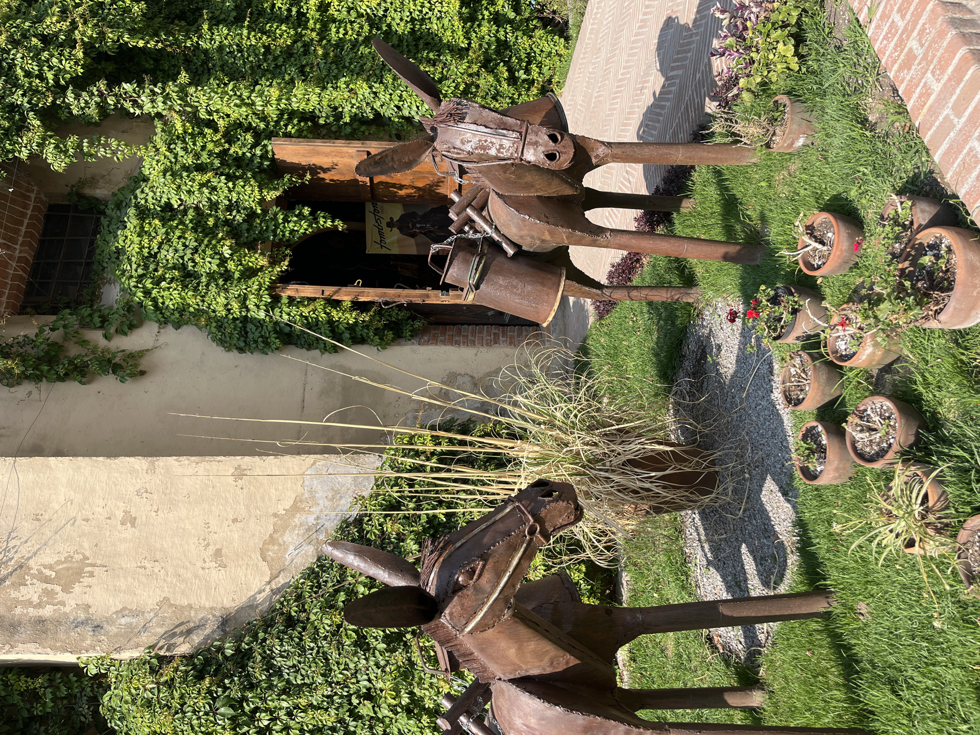A garden scene in Domingo Arenas, Mexico features two metal donkey sculptures standing on a green lawn near a building covered in ivy. The first donkey is near a pot of dried grass. The second donkey is laden with buckets, positioned near a brick-paved walkway and an assortment of terracotta pots containing plants. The building behind the donkeys has a window and a doorway, suggesting a rustic or historical setting.