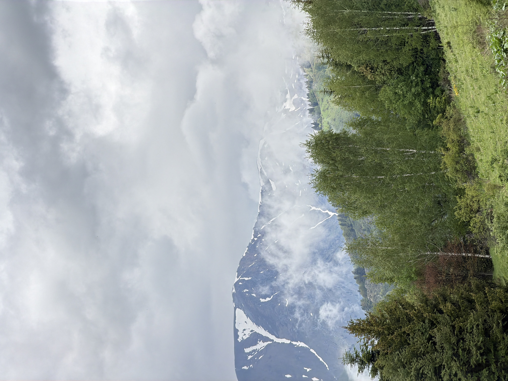 The image depicts a mountainous landscape, possibly near Rila Monastery, Bulgaria, although the monastery itself is not visible. A tall, dark, snow-capped mountain peak dominates the scene, partially obscured by low-lying clouds and mist. The mountain's flanks show streaks of white, suggesting snow cover or glaciers. In the foreground, a verdant hillside is lined with trees, particularly birch trees with light-colored trunks, interspersed with other types of greenery and grass. The sky is overcast with dense gray clouds, further suggesting a high-altitude environment with variable weather conditions. There are no visible people or interactions.