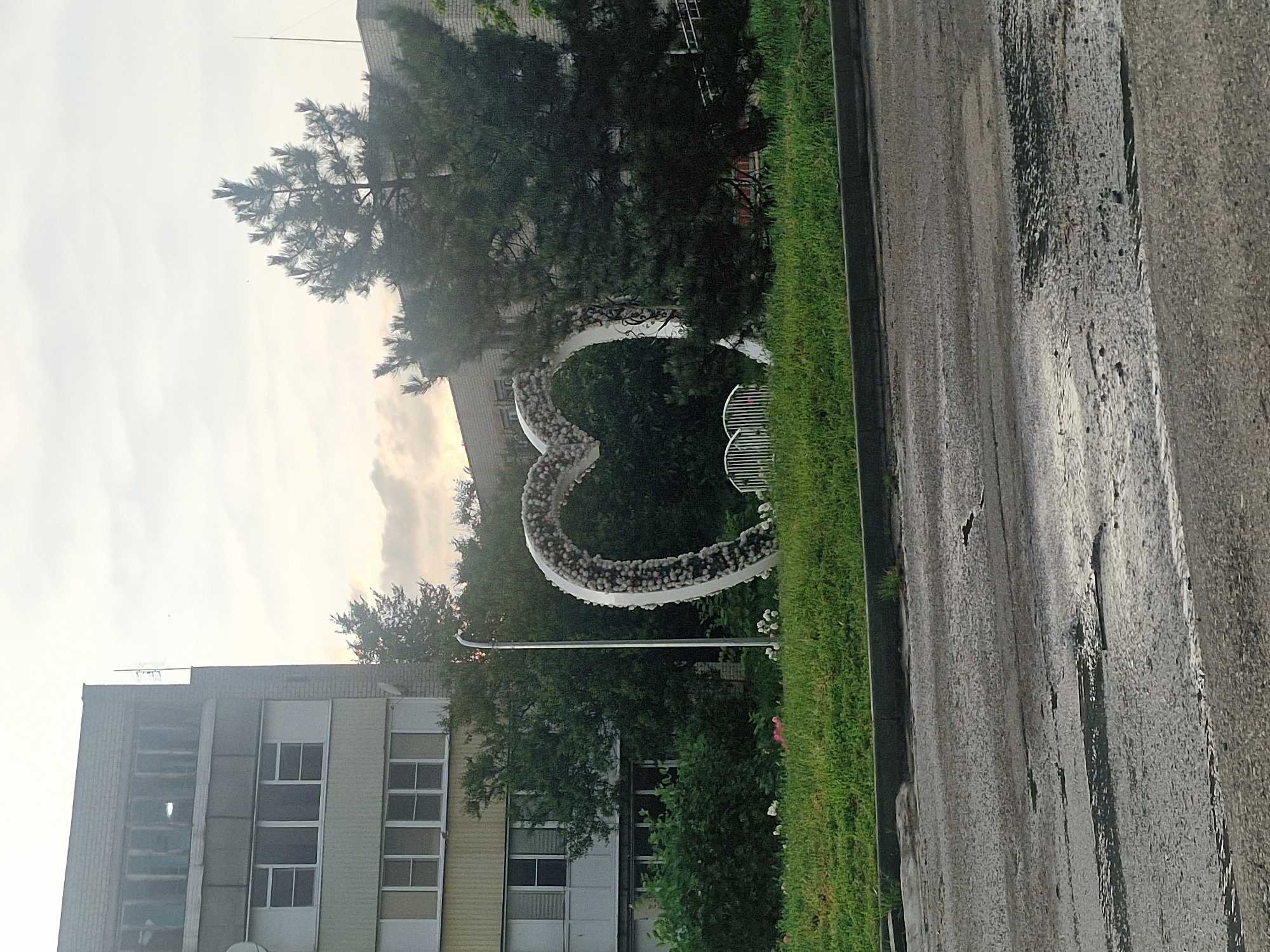 A large, heart-shaped floral arrangement stands in a grassy area next to a multi-story apartment building. The heart is decorated with small, white and pink flowers. Behind the heart, a white metal fence with a decorative design is visible. Trees, including a prominent pine tree, are situated in front of and around the heart. The apartment building appears to be made of brick and has multiple windows. In the foreground, a wet asphalt road with visible puddles and cracks suggests recent rain. The sky is overcast with soft, diffused light. The location is identified as Kursavka, Russia.