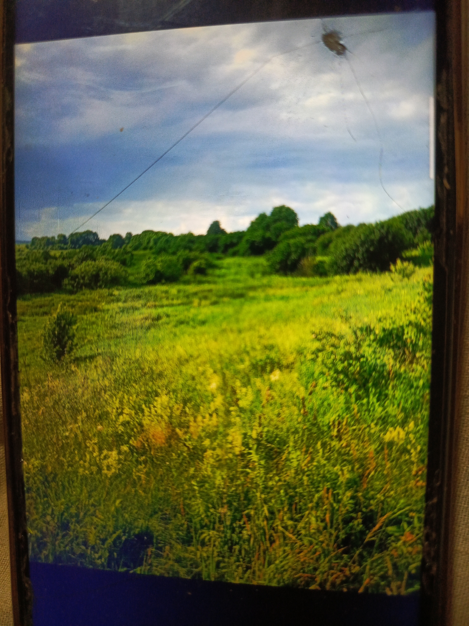 The image shows a landscape scene with a field in the foreground and trees in the background. The sky is partly cloudy, with a dark cloud on the left and lighter clouds on the right. A thin, dark line, possibly a wire, stretches diagonally across the sky. There are also several scratches on the surface of the screen. The field is covered in green grass with some yellowing or dried patches. A small, dark shrub is visible in the middle left of the field. The trees in the background are dense and green. The scene does not provide any specific information that would allow for a precise location within the city of Svoboda, Russia, or any specific details about people, objects, actions, or interactions.