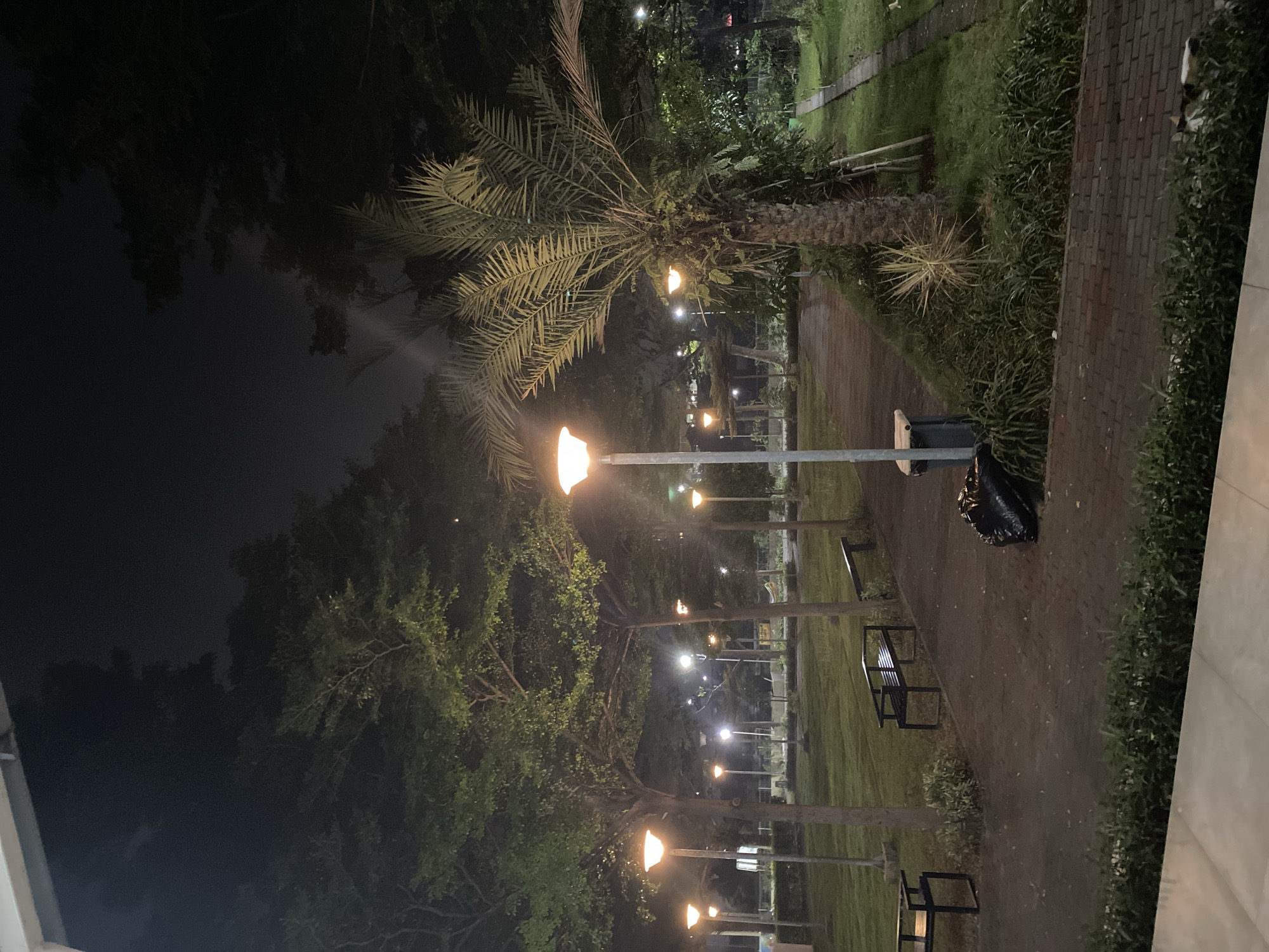 The image depicts a park at night, illuminated by streetlights. The scene features paved pathways, lush green grass, and several trees, including a prominent palm tree. Benches are visible along the path, some empty and some possibly occupied by figures obscured by darkness. A trash can and a black trash bag are also present. The park appears to be situated in a relatively urban environment, with hints of surrounding buildings or structures visible in the background. The overall atmosphere is tranquil and somewhat secluded, with the natural elements of the park contrasting with the artificial lighting. The image is a photograph taken at night in East Jakarta, Indonesia.